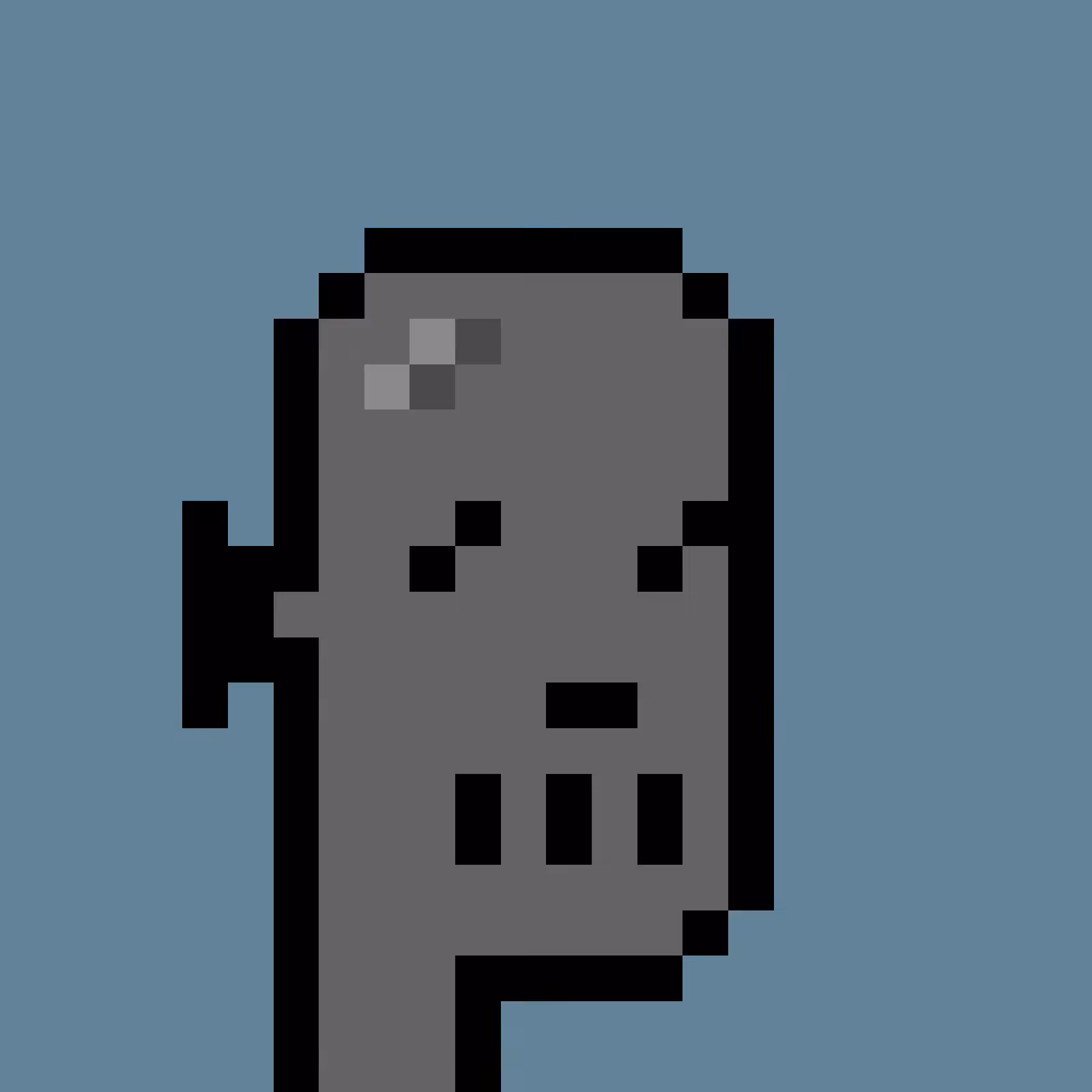 RoboPunks 2048 #897