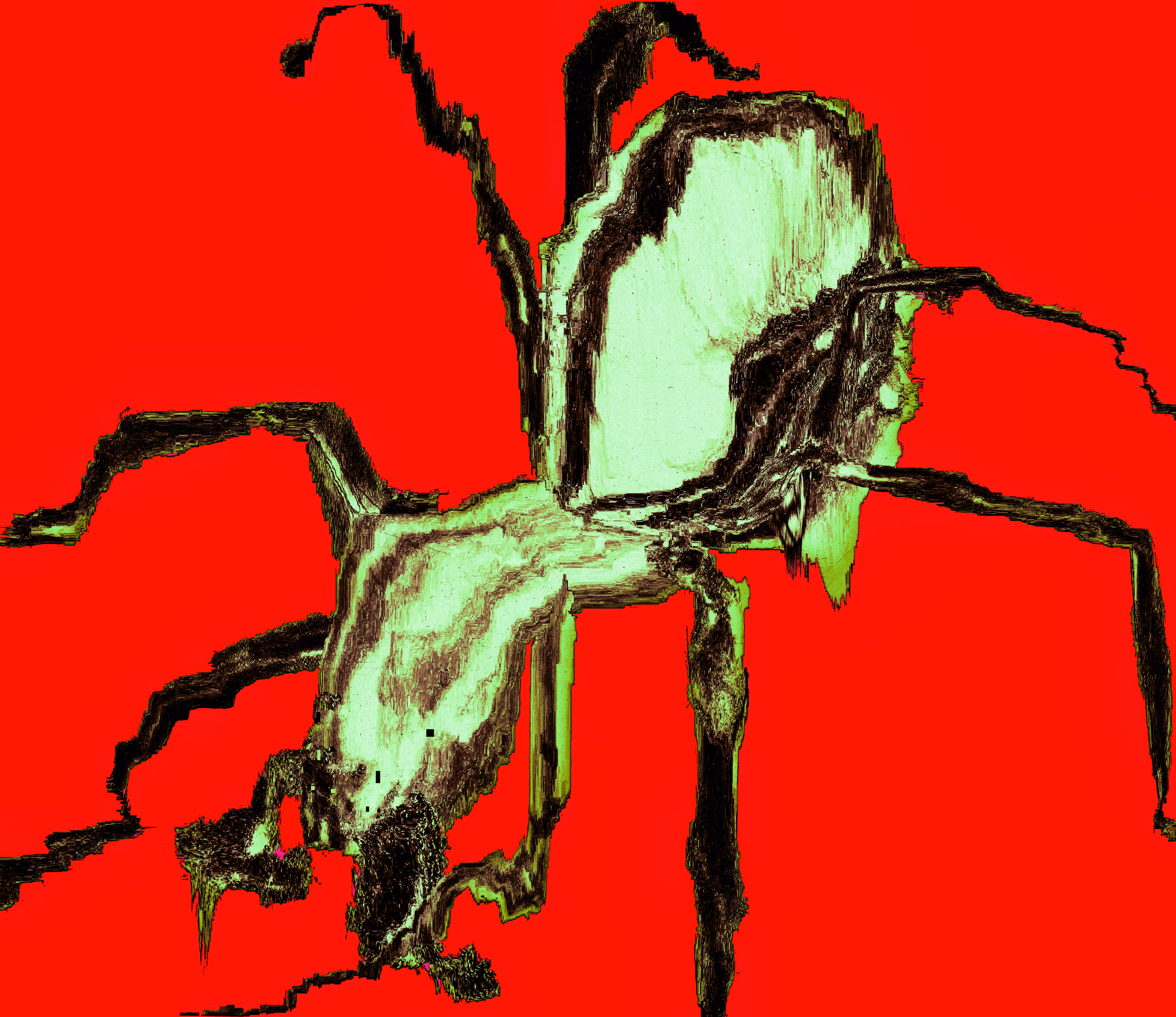 arachnid
