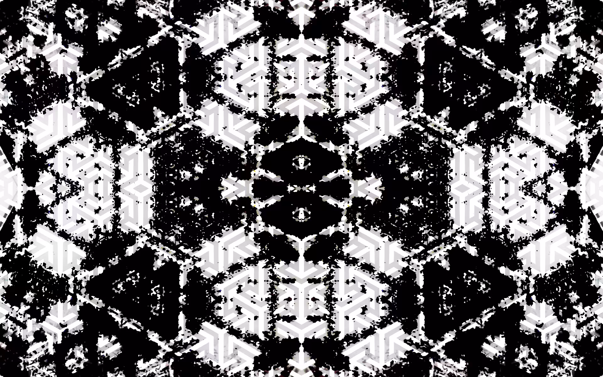 Computer Observing Itself 001