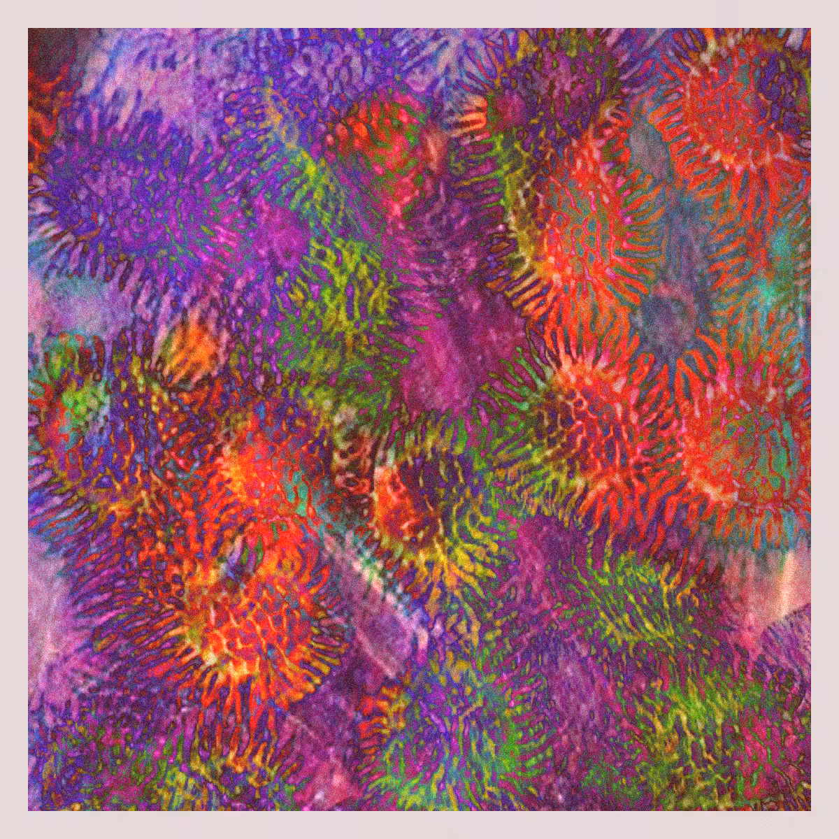 orGANics #8