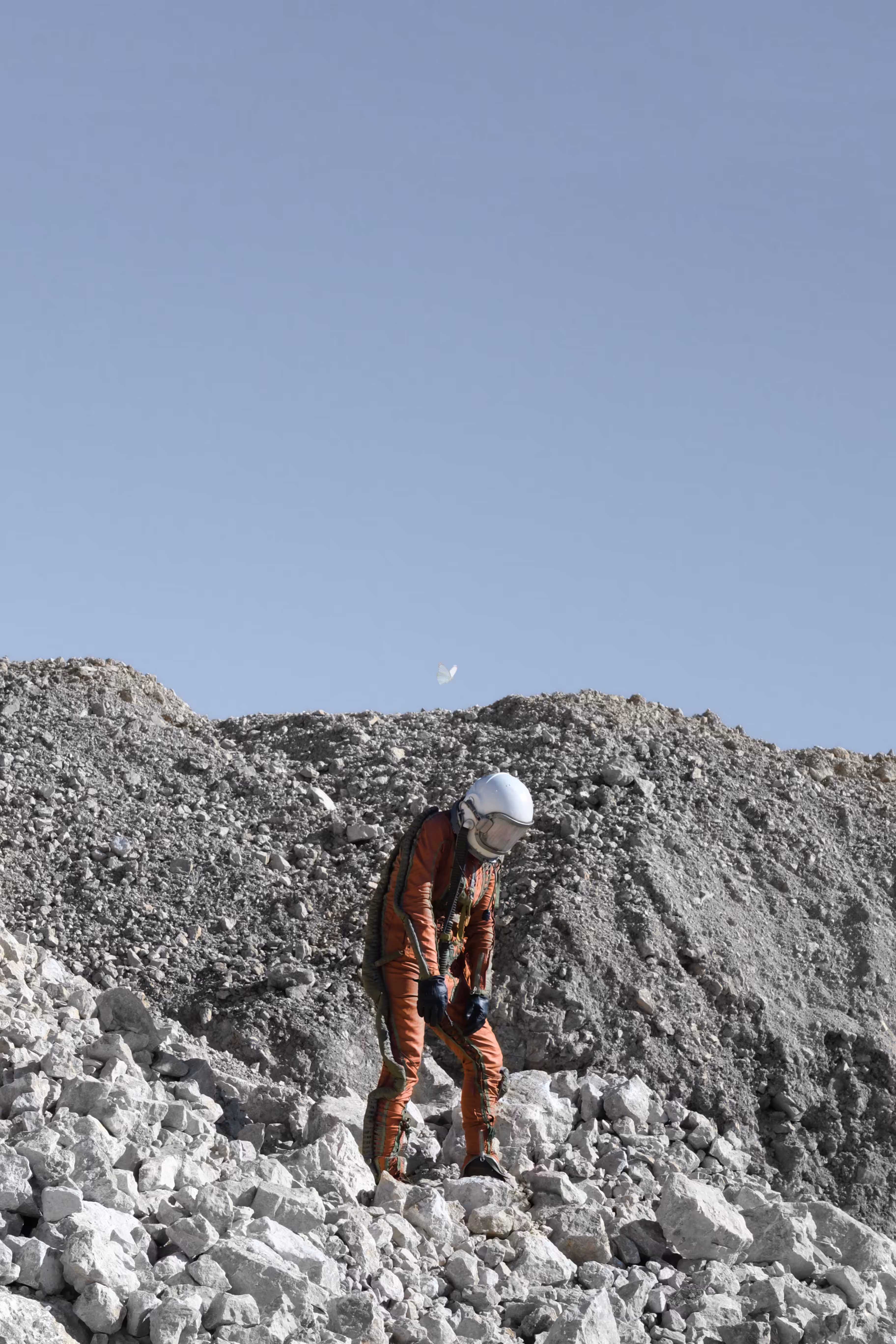 The Man Who Fell to Earth