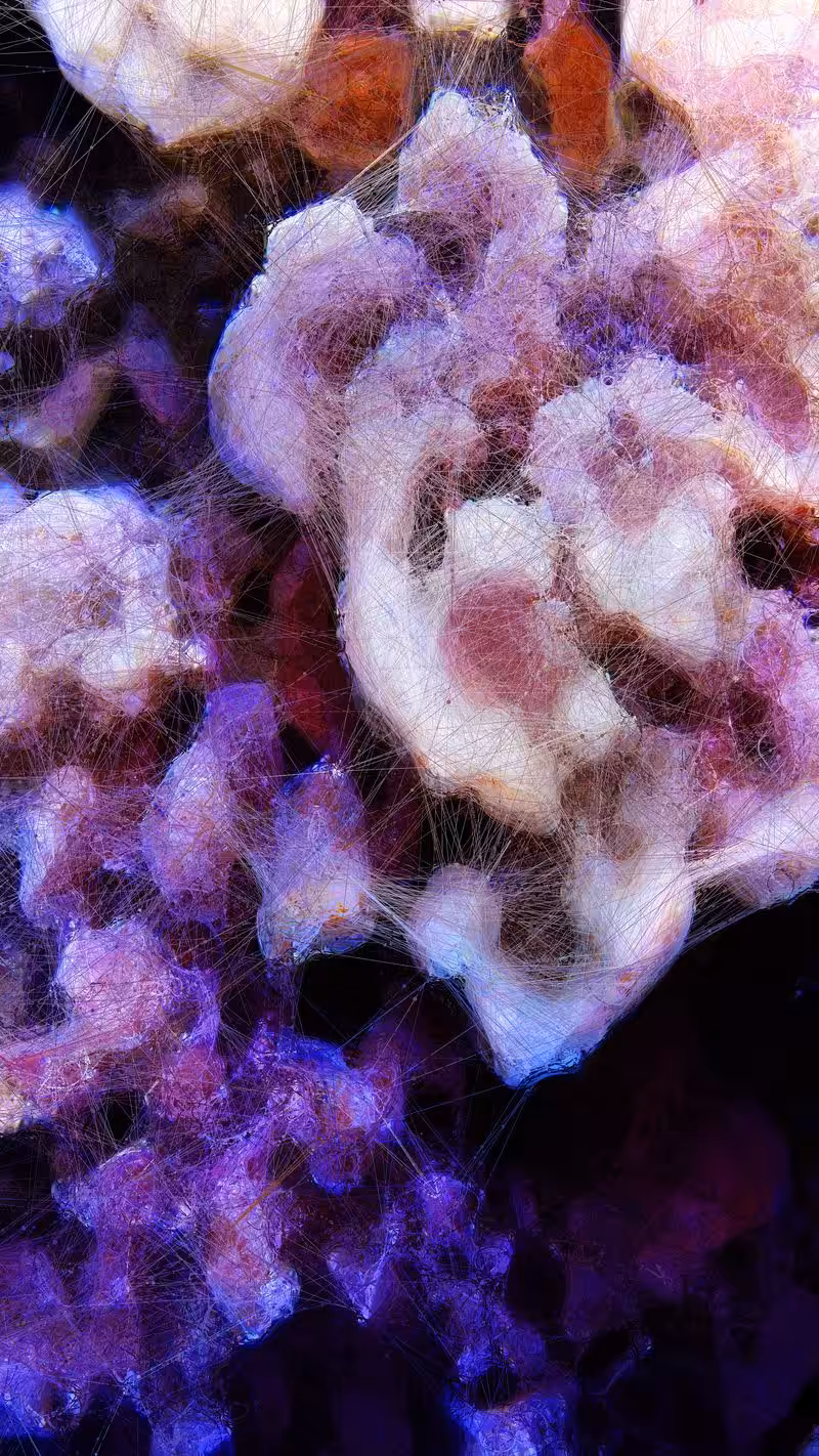 Machine Hallucinations - Coral - Generative AI Data Painting D #98
