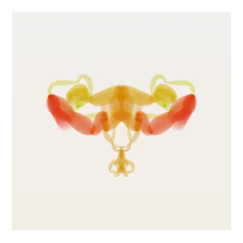 Cambrian Explosion #7