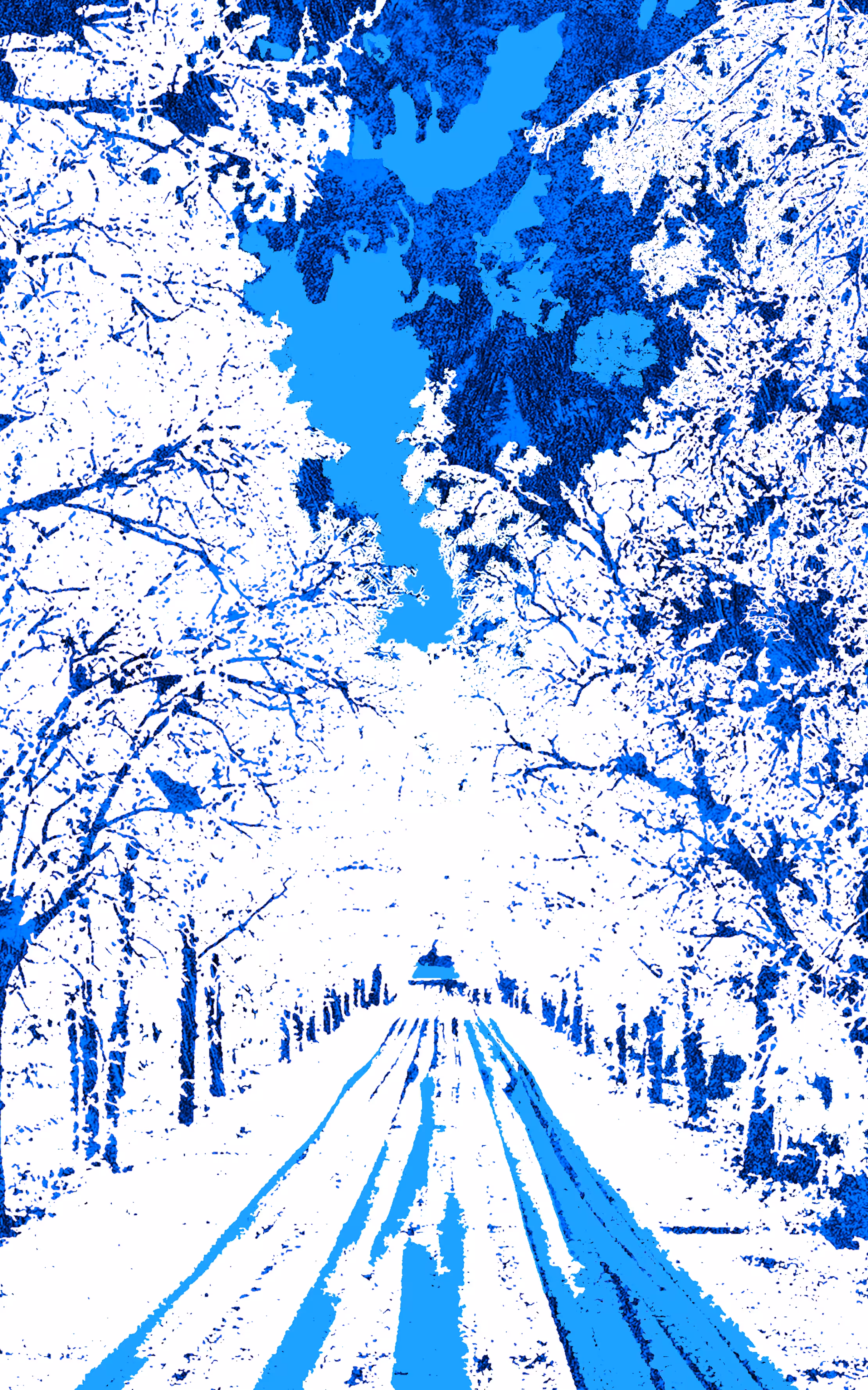Sepideh sahebdel: Snowy Road