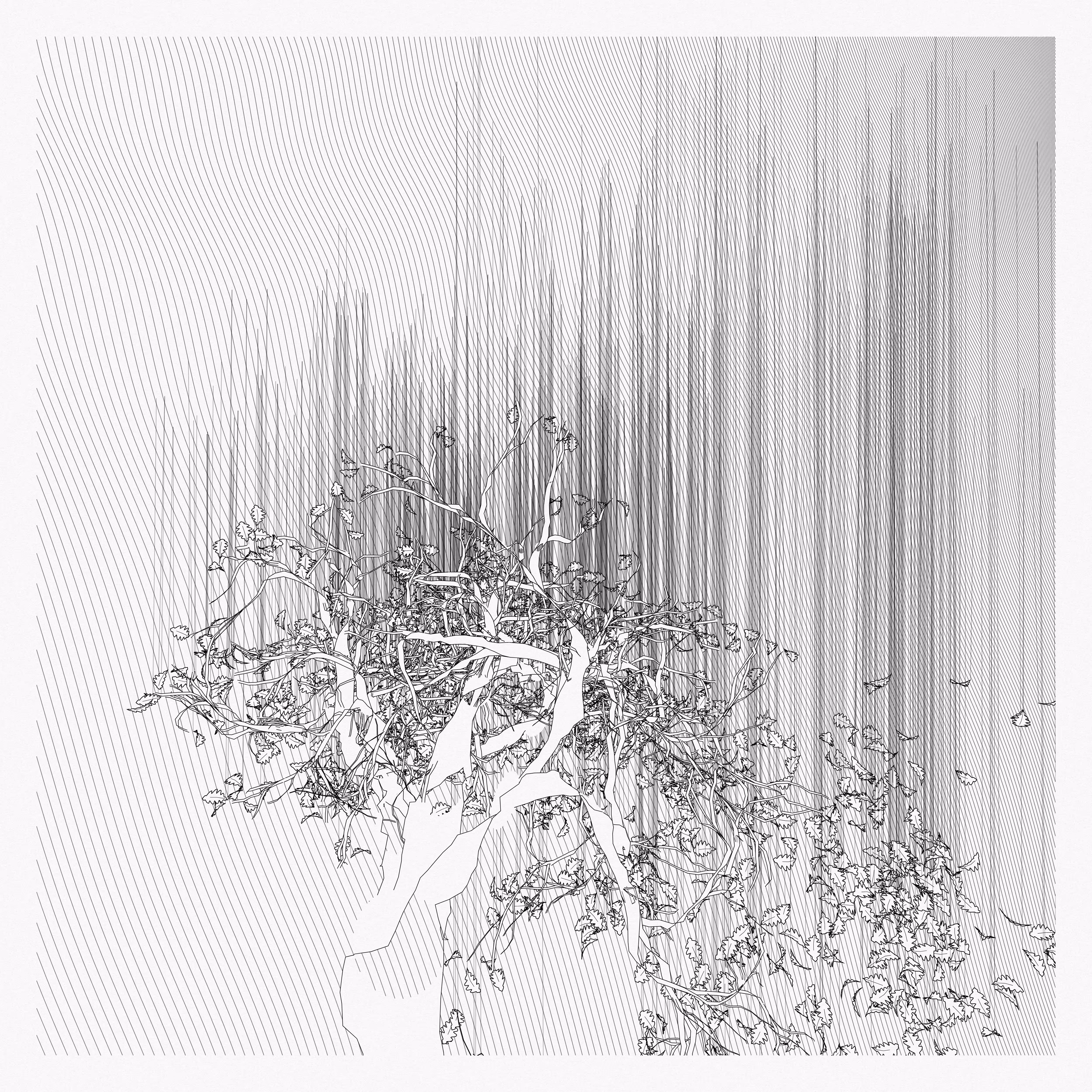 A Bugged Forest #359