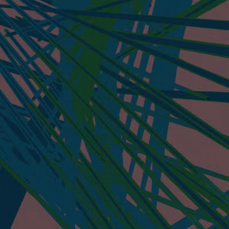 Sticks Around #23