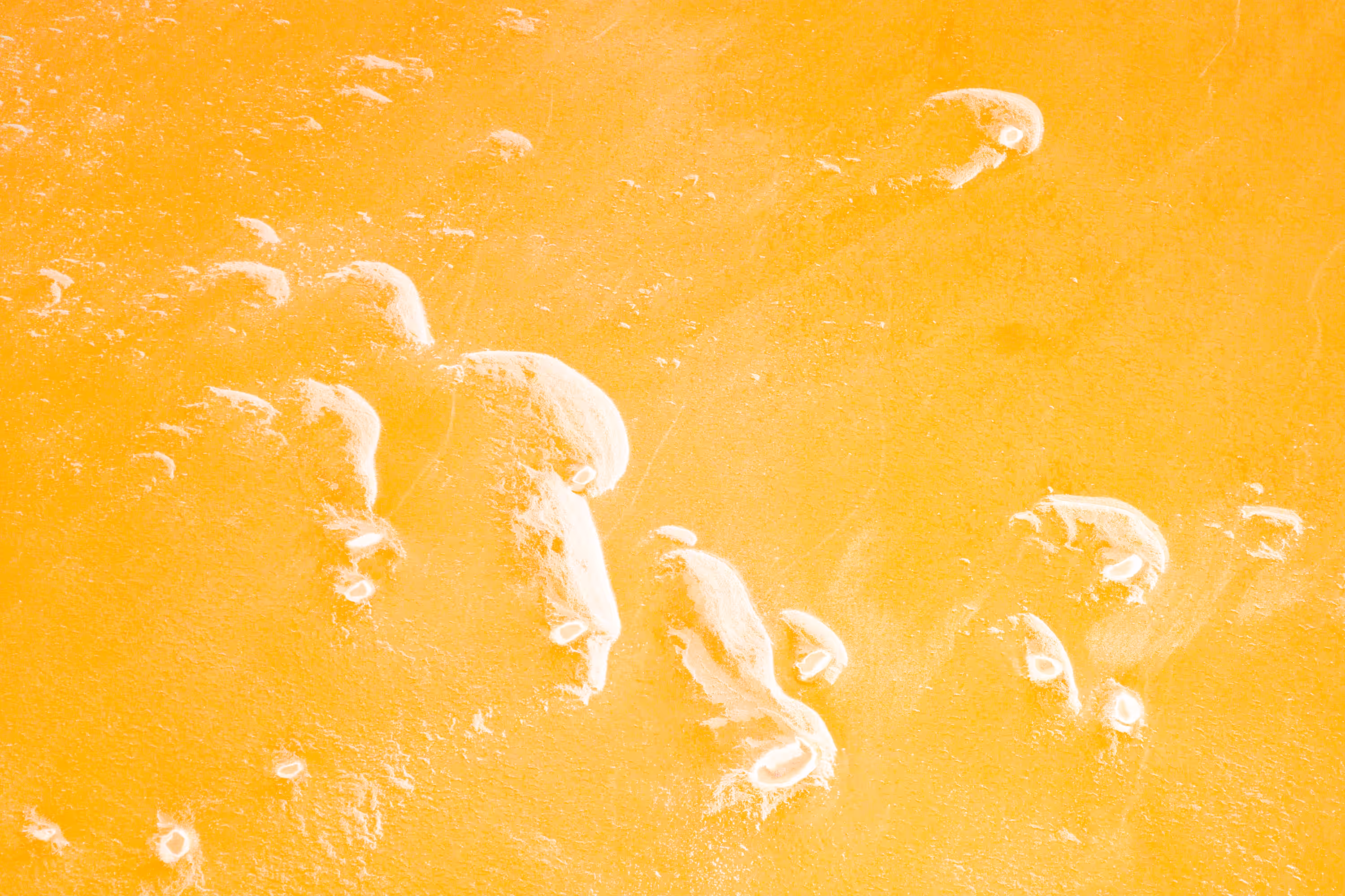 Earth Canvas #25