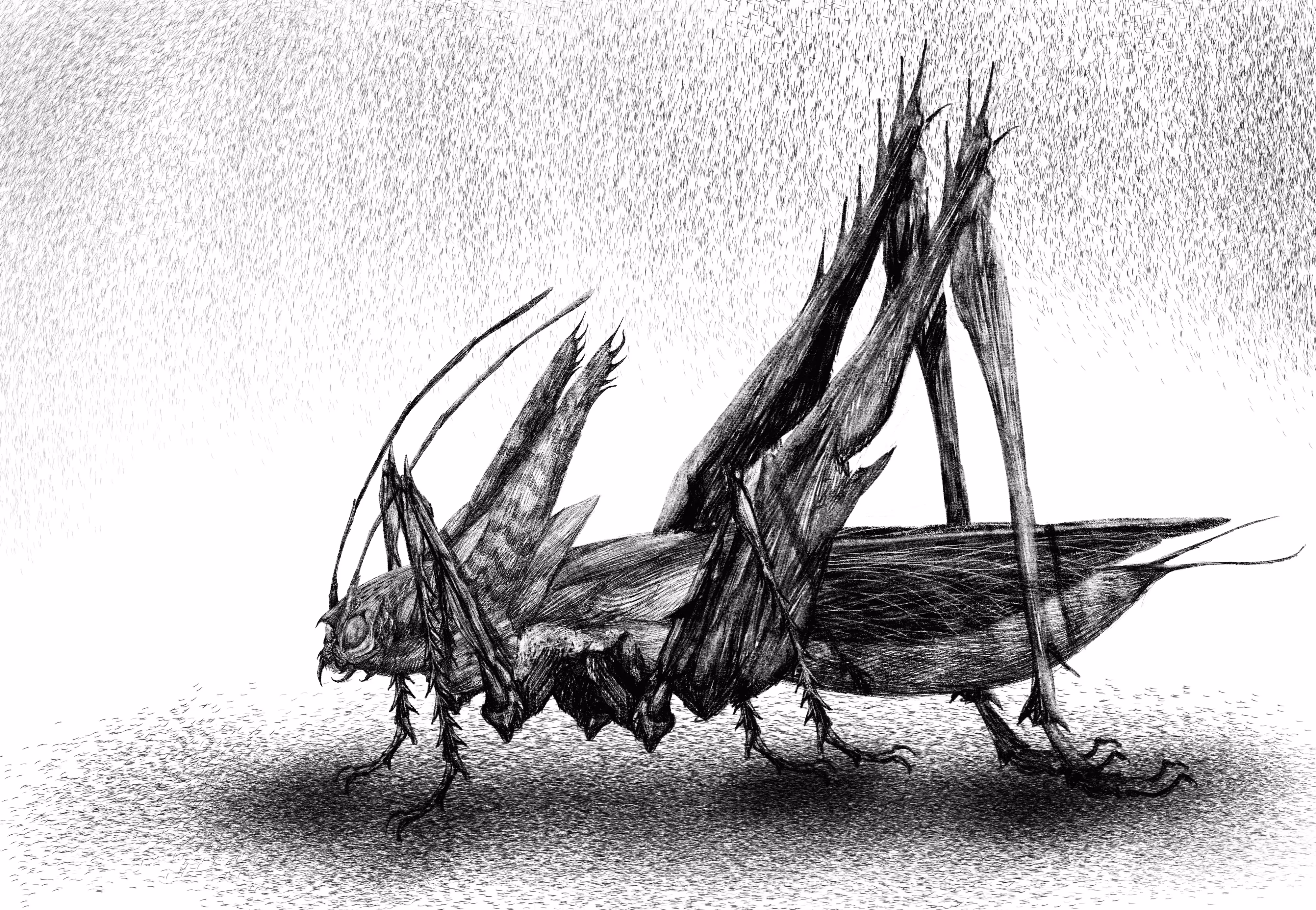 GRASSHOPPER