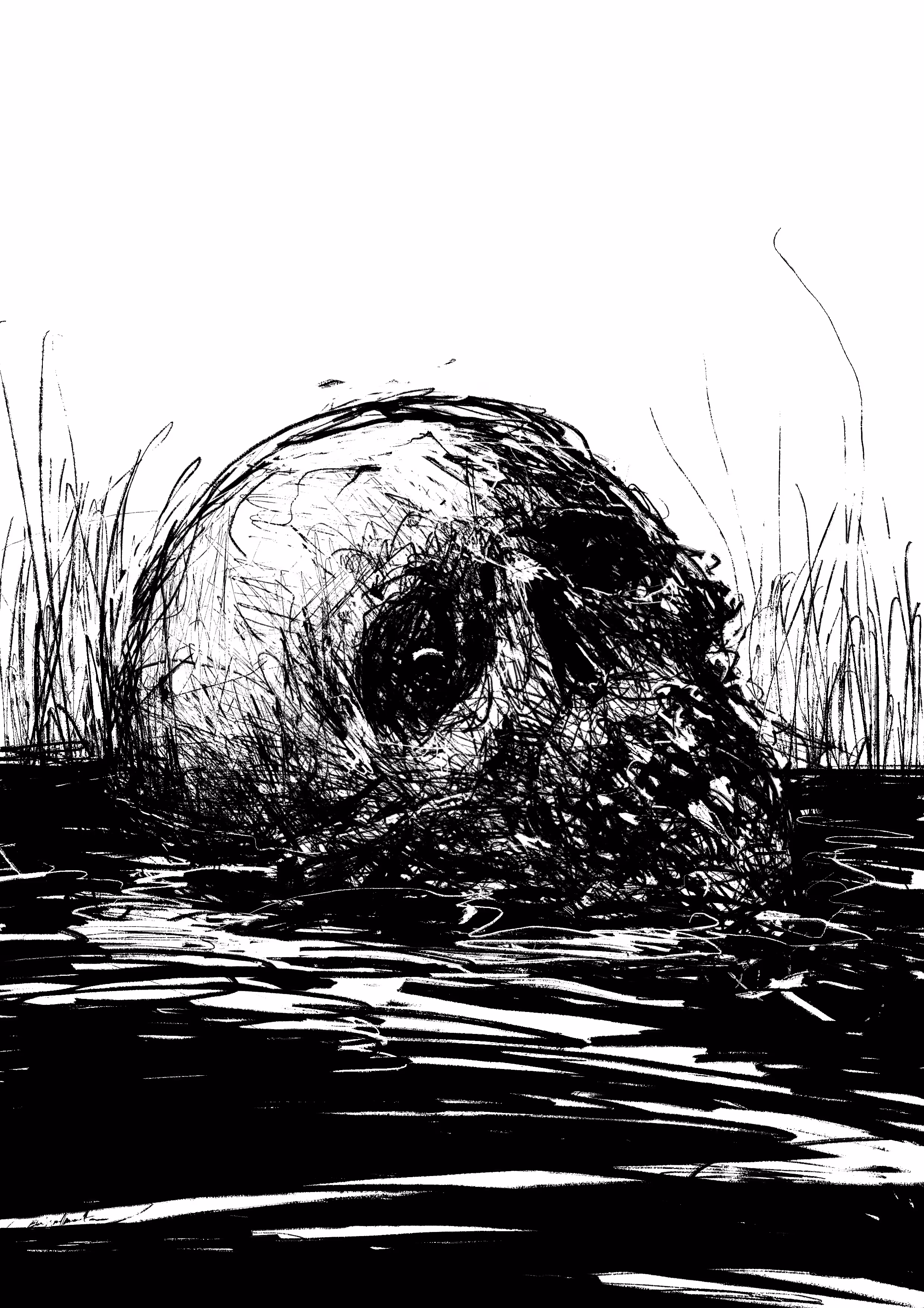 Skull Drawing 10