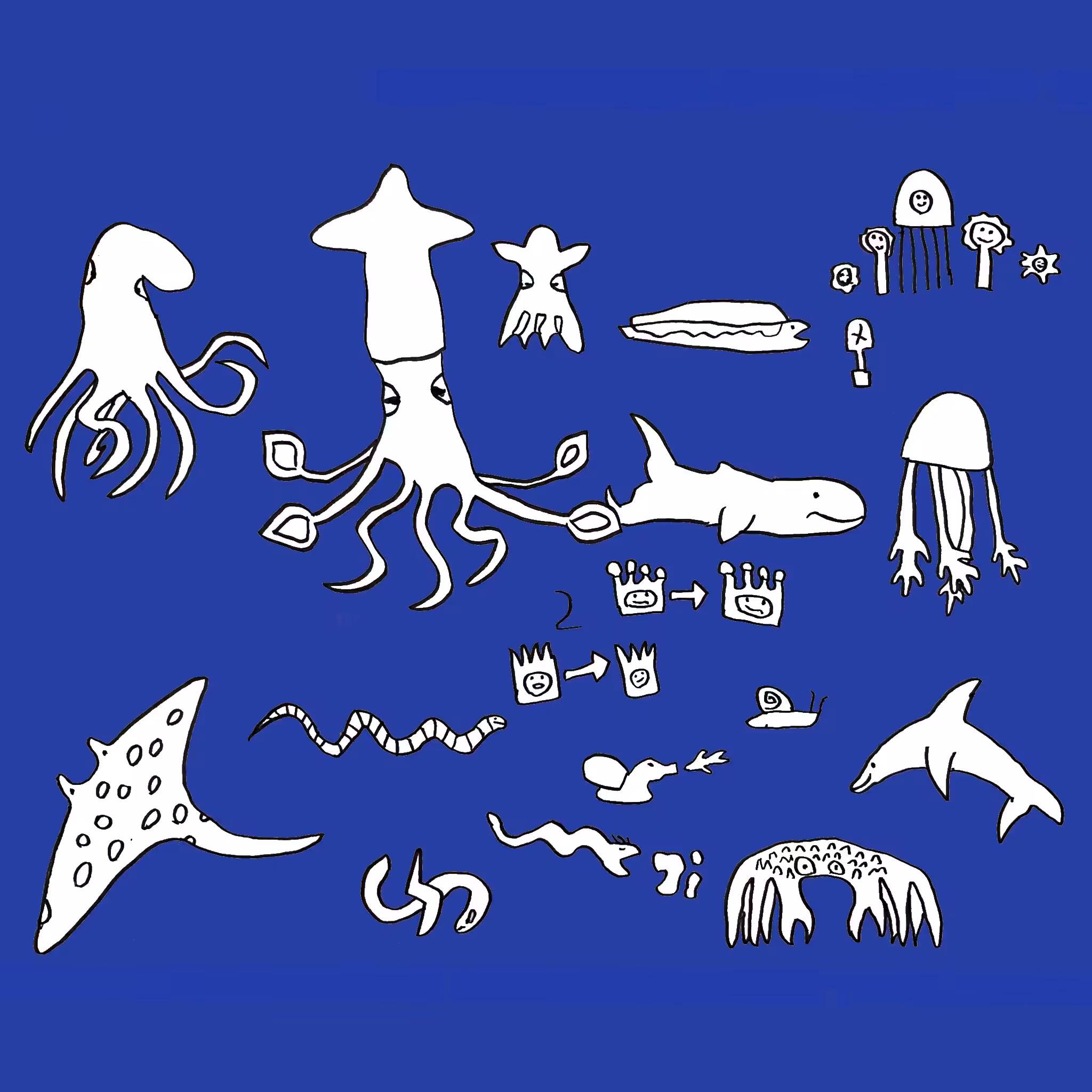 Sea Creatures