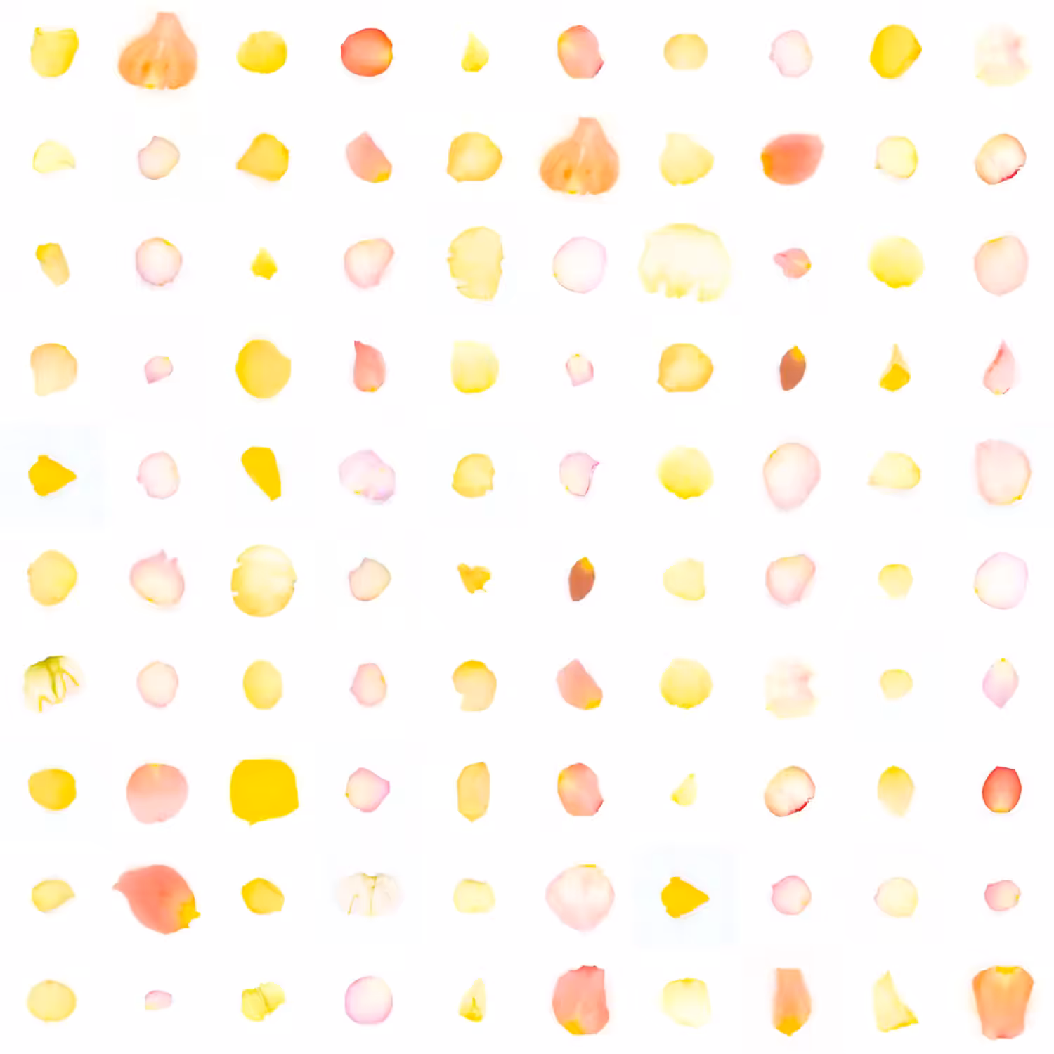 Infinite Petals 10x10#2336