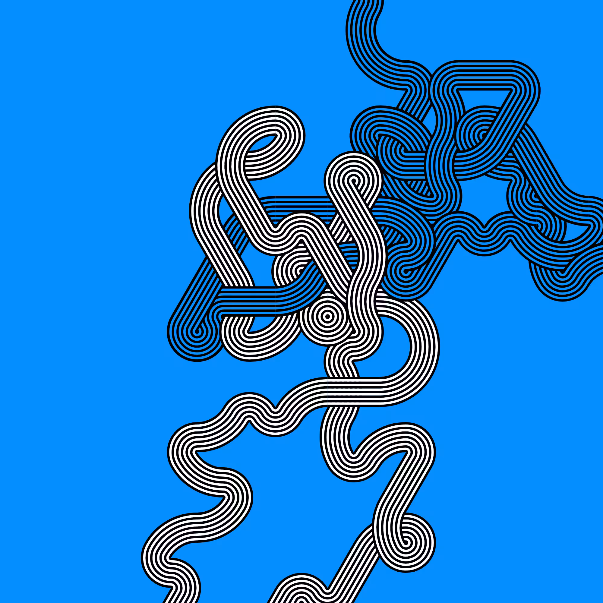 Wanderer #224