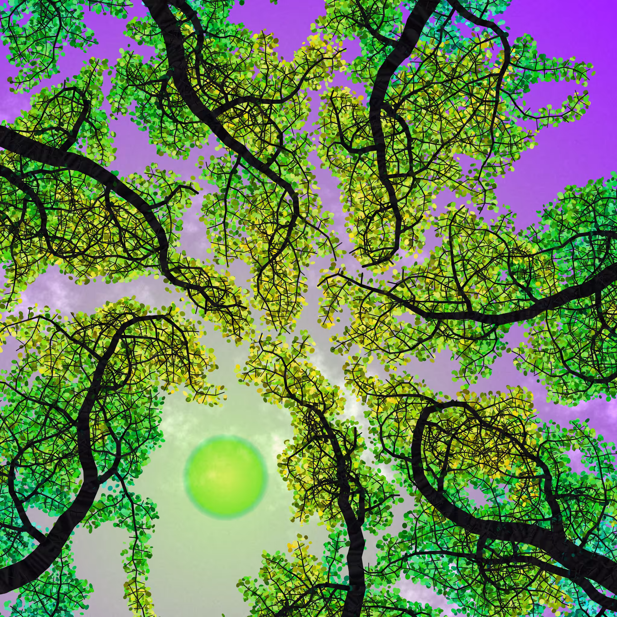 Tree Skyness #35