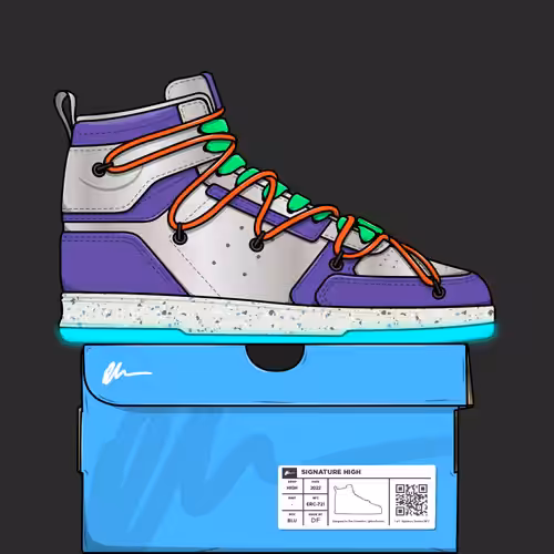 Signature Sneakers Highs #273