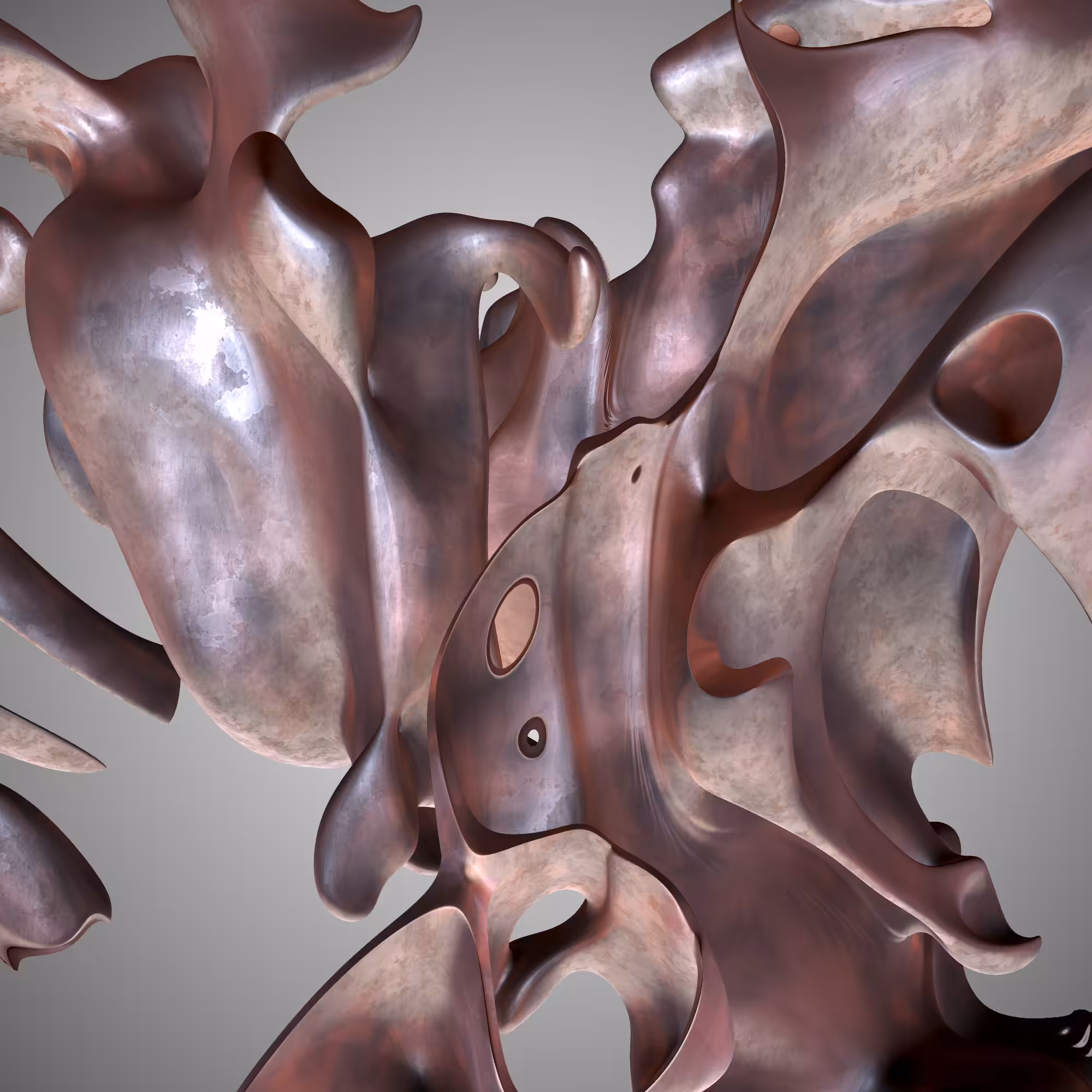 N_RAYSSCULPT#1