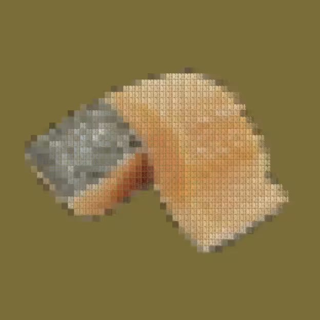 鮭