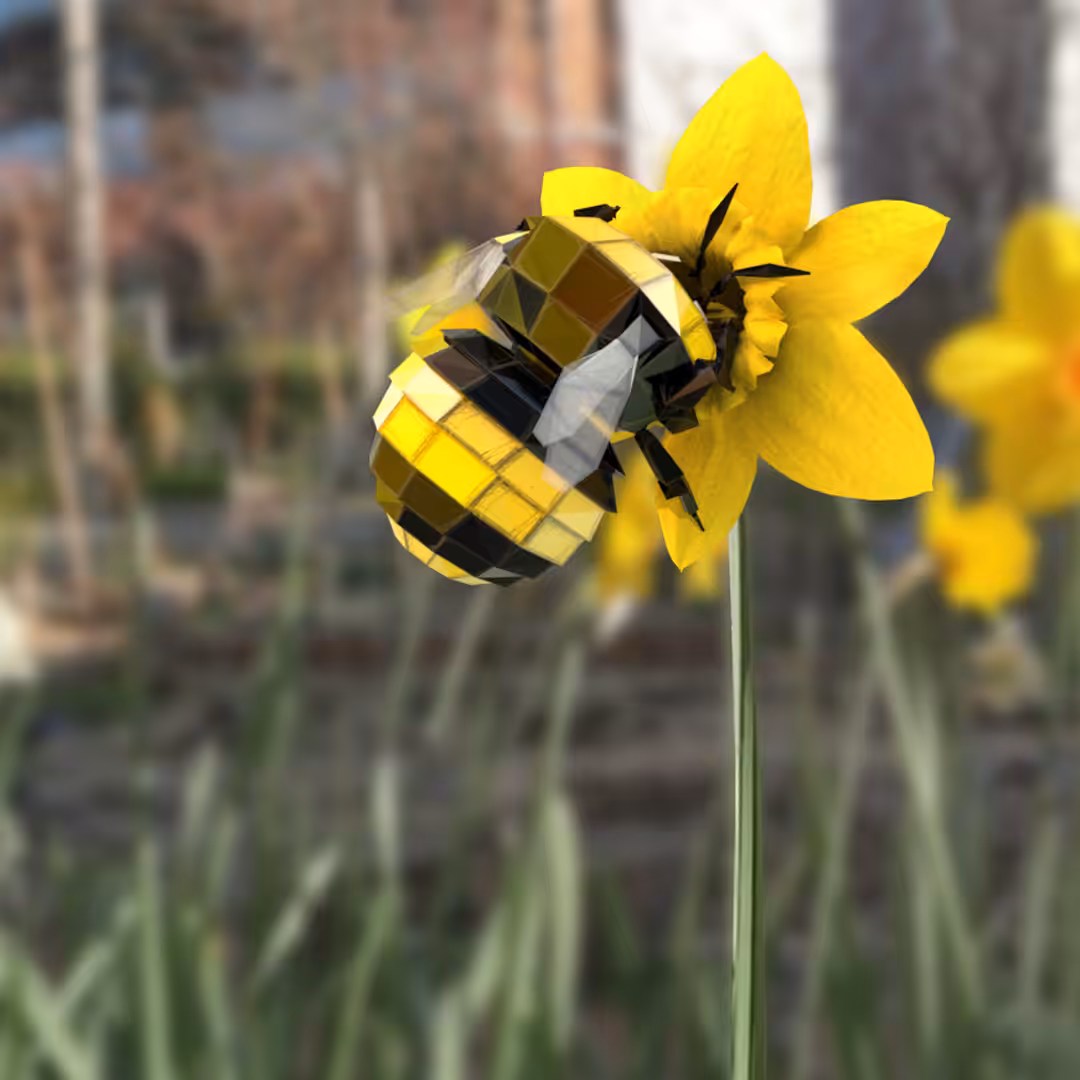 BMBLBEE (1 of 1)