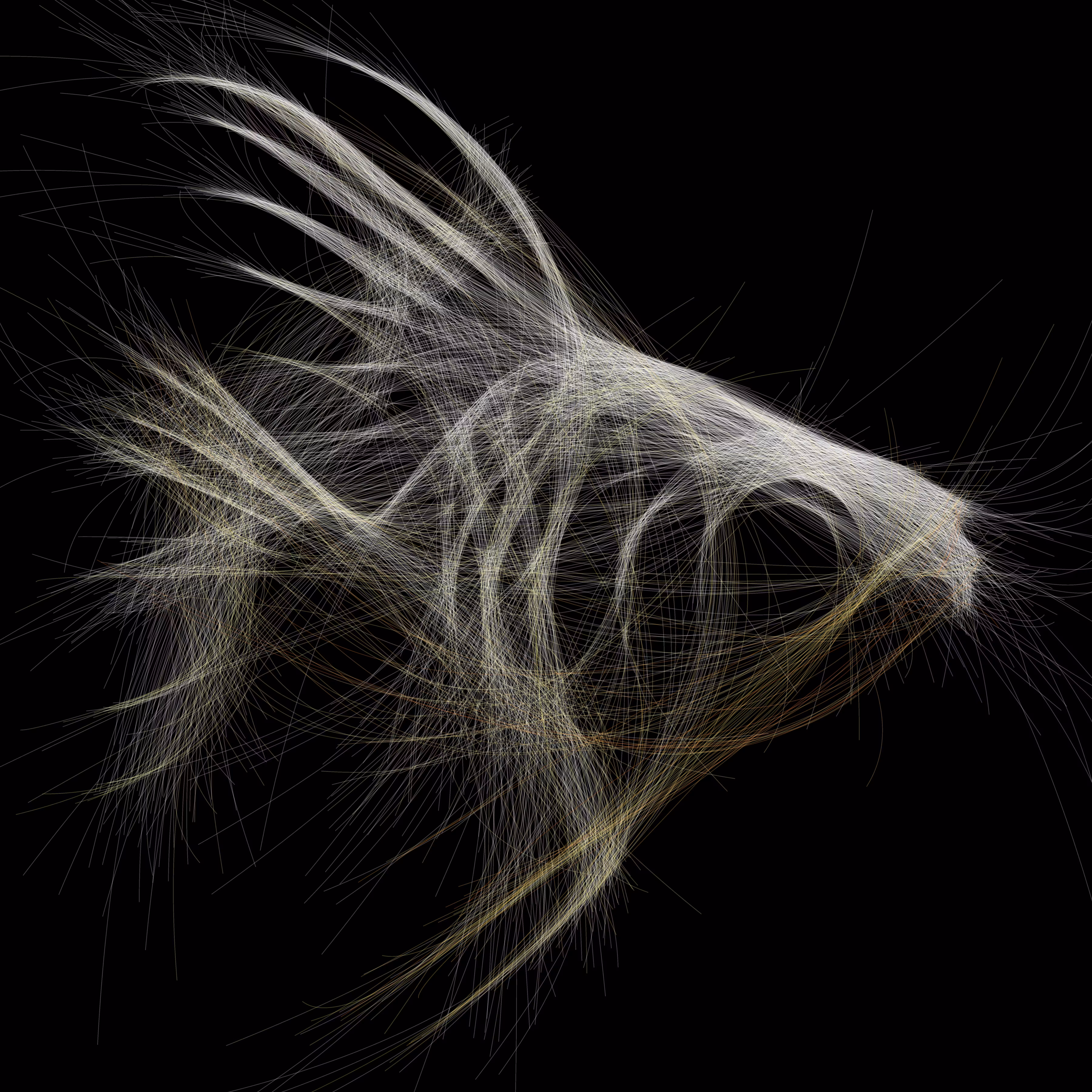 Underwater 256