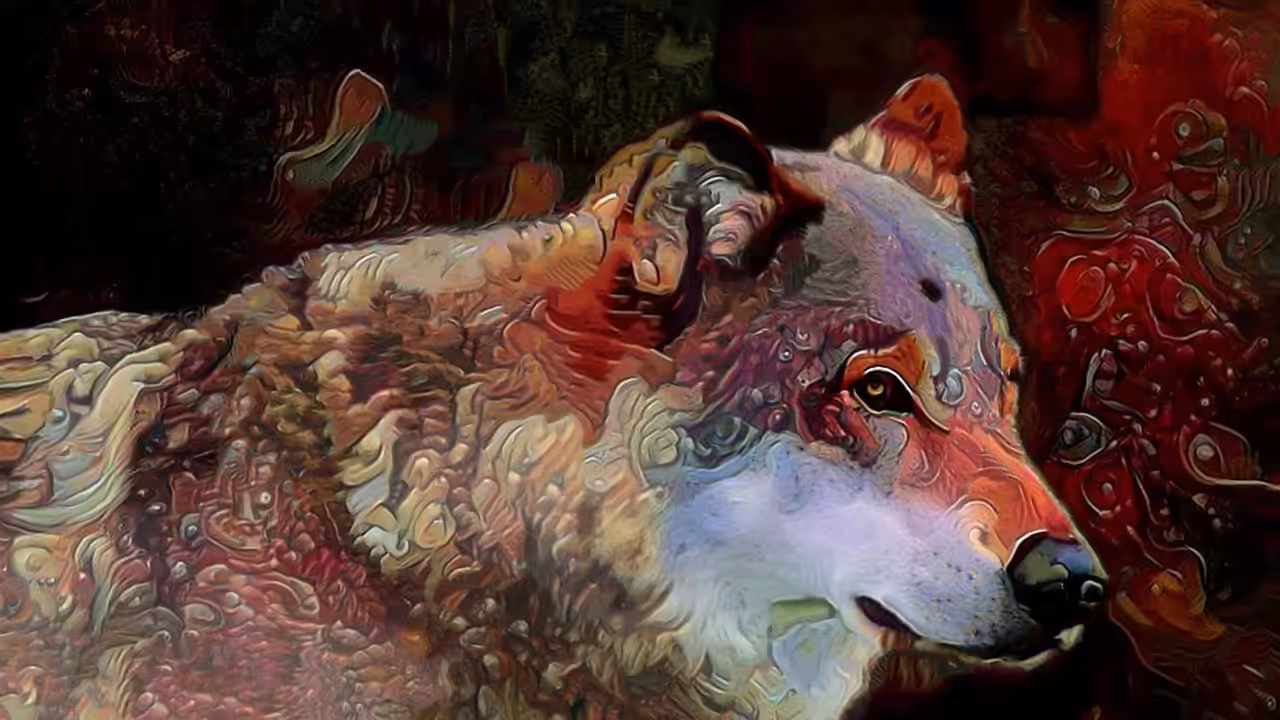 Canis Lupus Skerealis