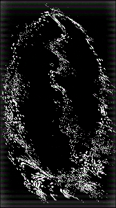 Order from Chaos