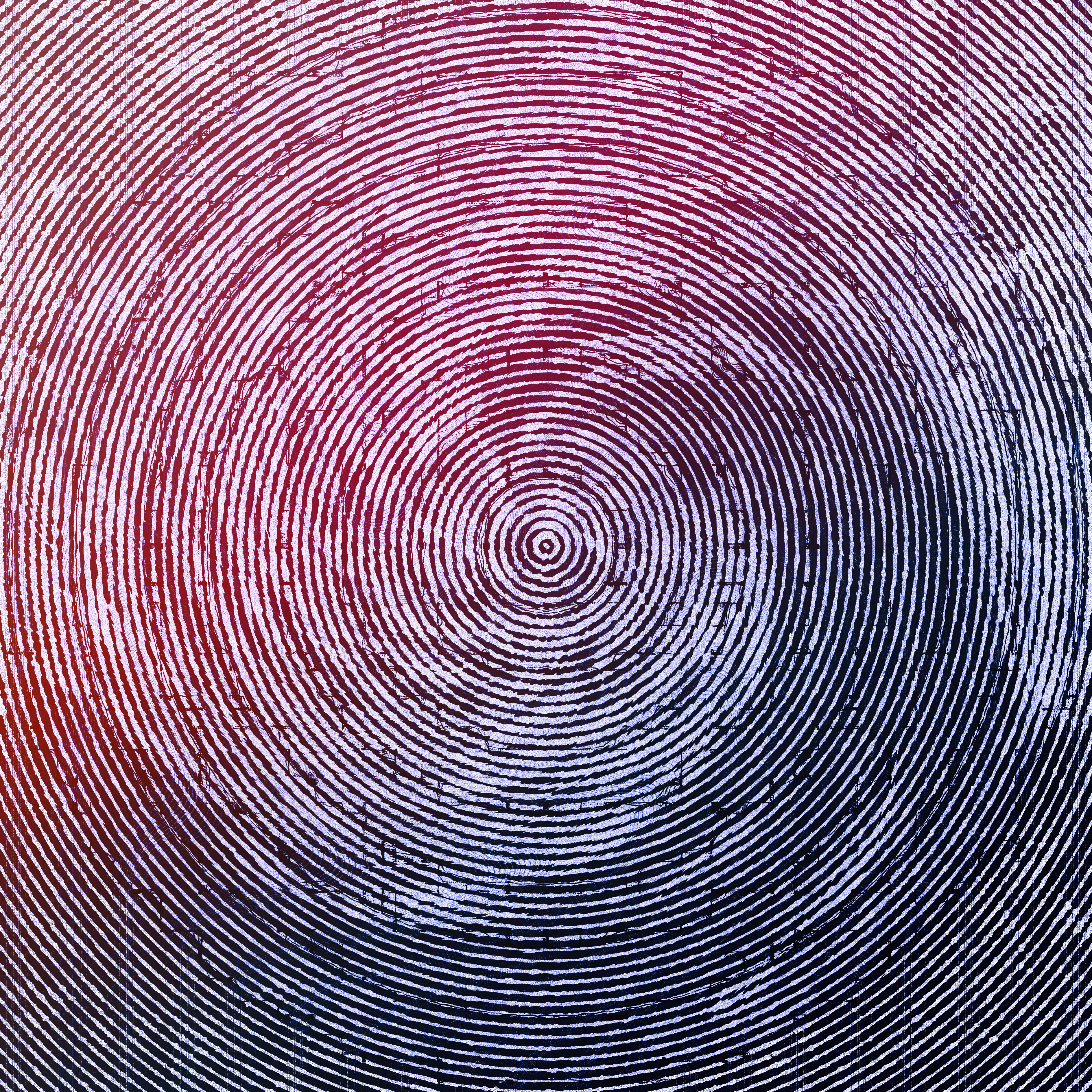 The Wave