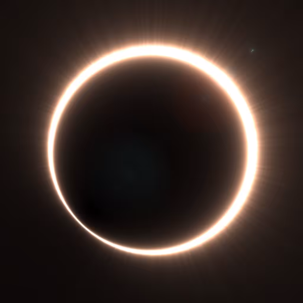 Totality #308