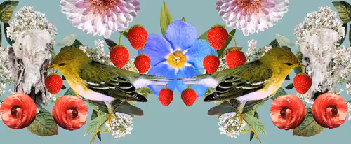 The Strawberry Thieves Banner 3
