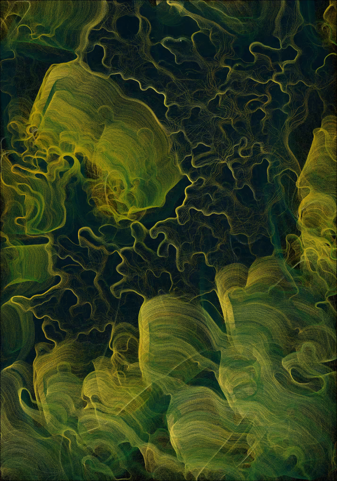 Bloom #40