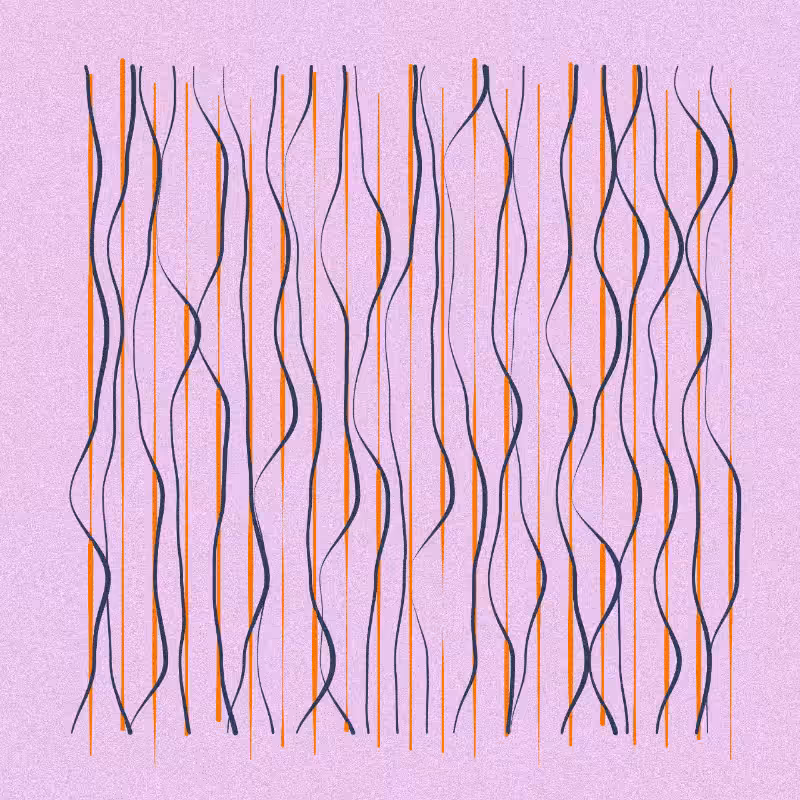 Rorate #12