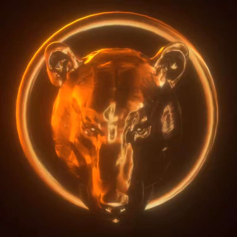 The bear