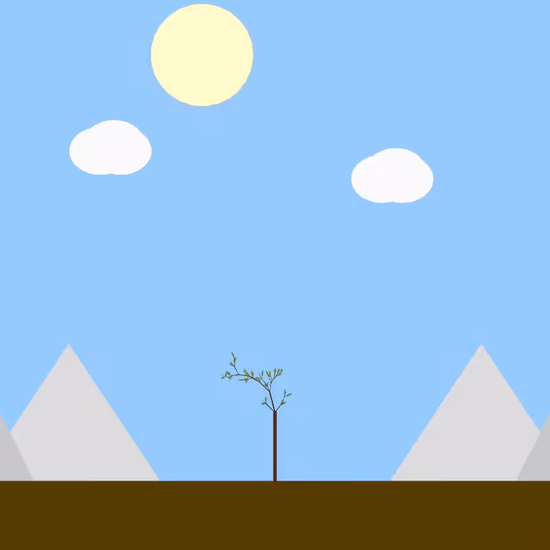 From seedling to tree #21