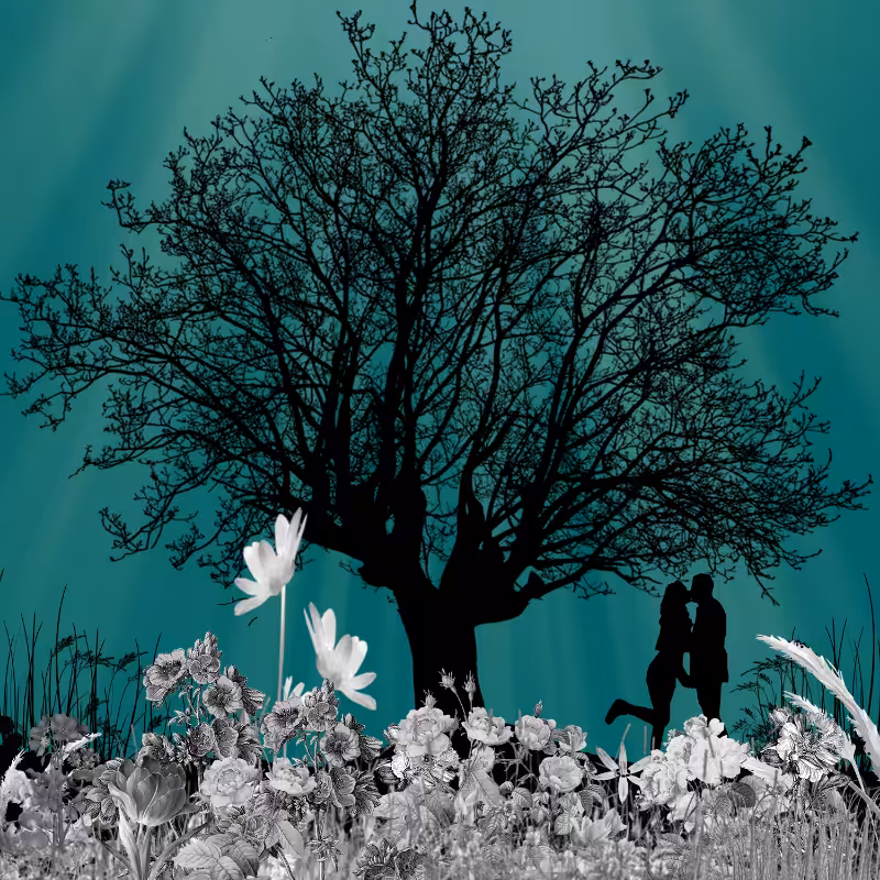 FXBWColor Garden #1