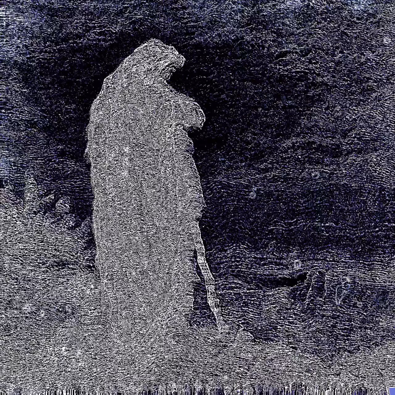 𝔗𝔯𝔞𝔫𝔰𝔪𝔬𝔤𝔯𝔦𝔣𝔦𝔠𝔞𝔱𝔦𝔬𝔫