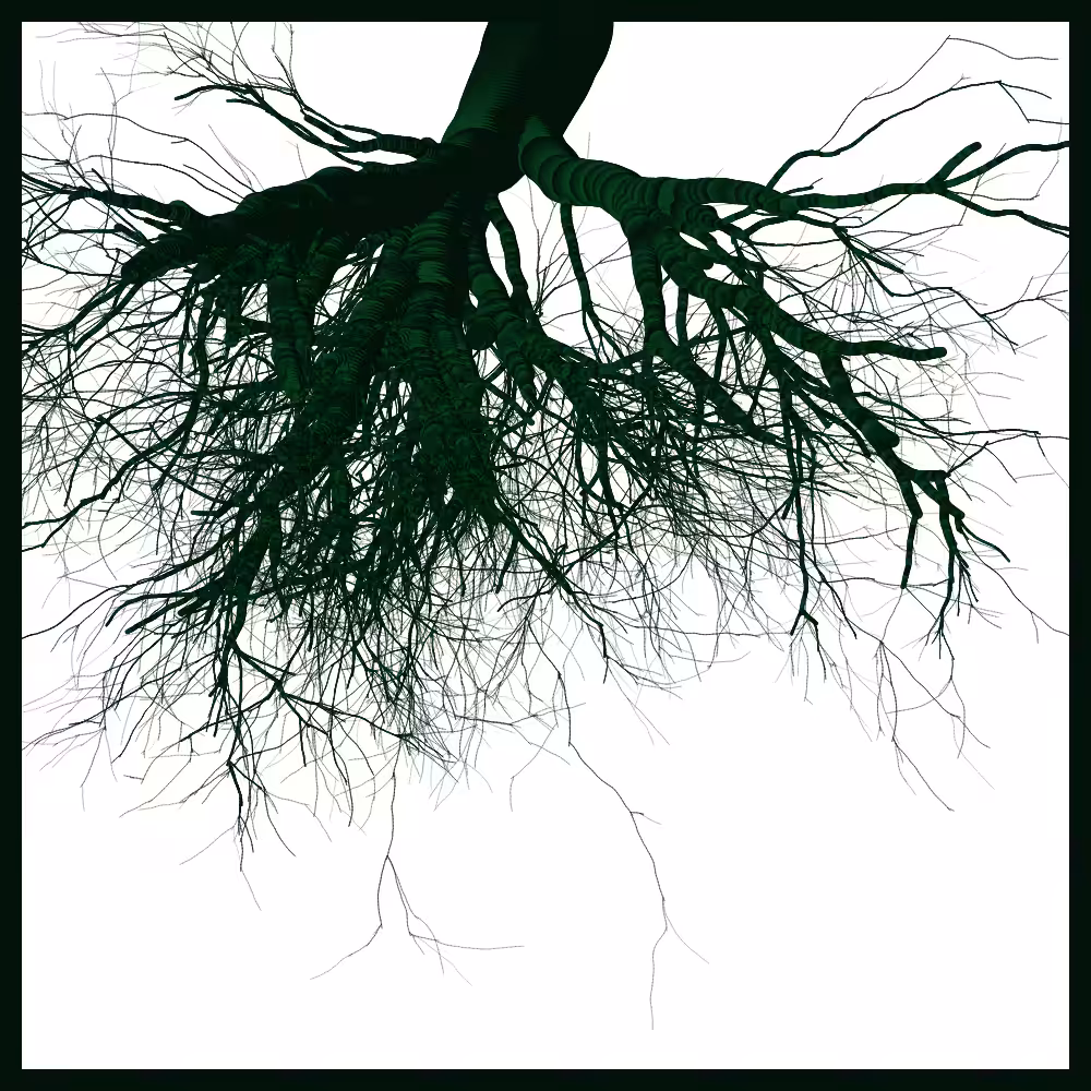 Arbres suspendus #91