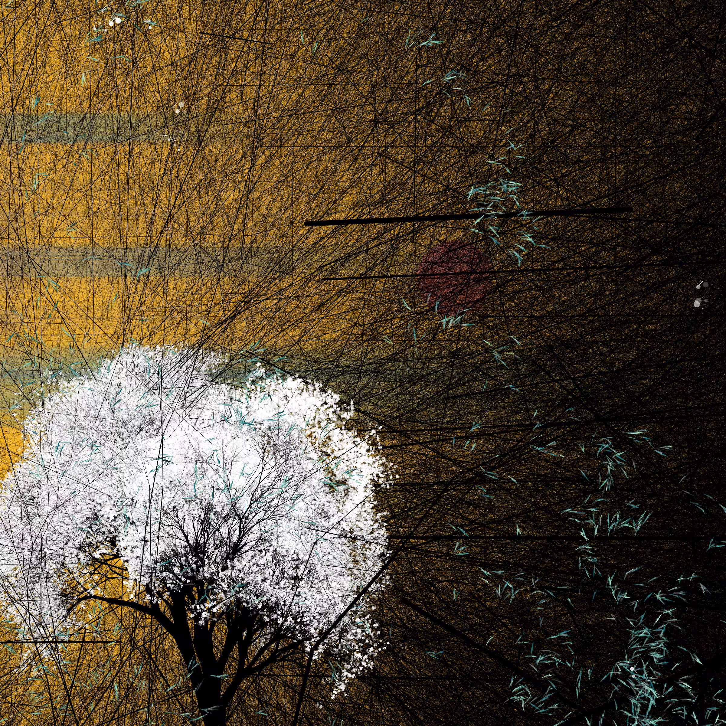 conversation with the wind #408