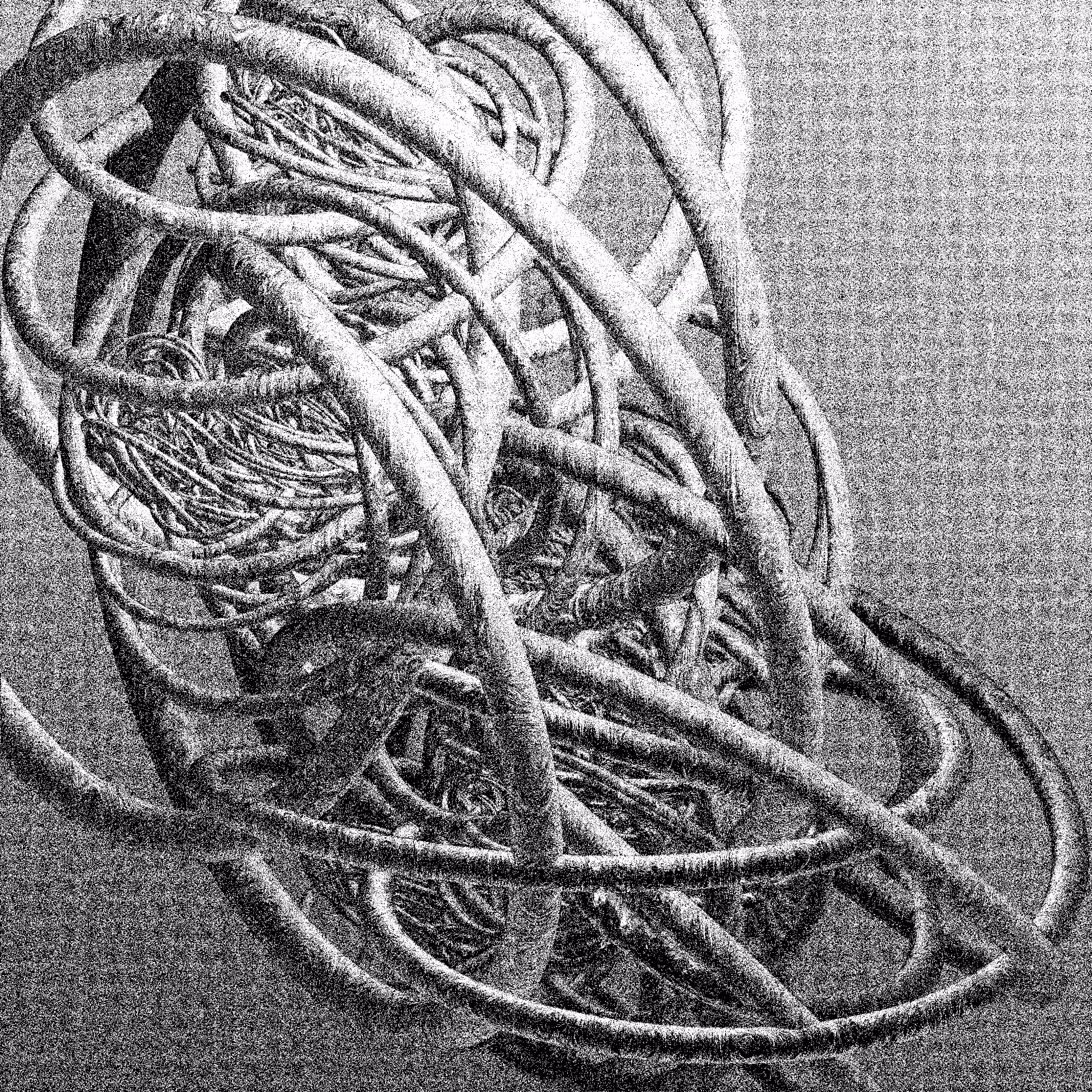 A Knotty Problem