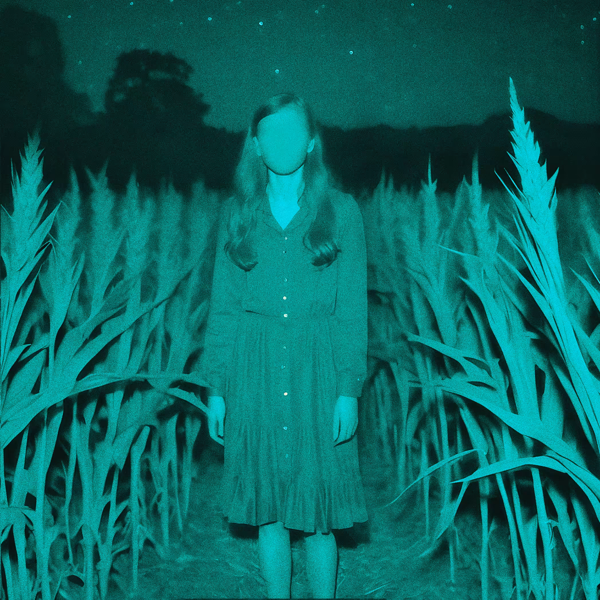 01_cornfields