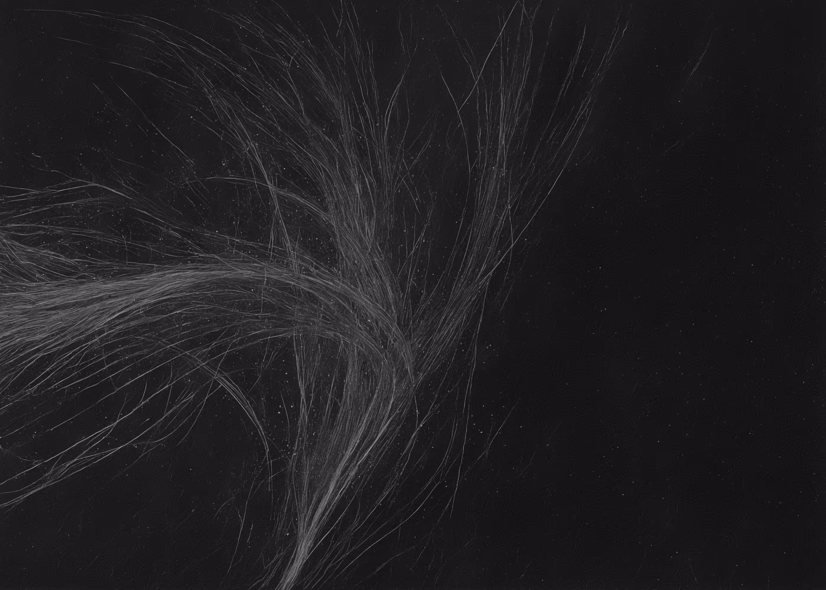 Lumens #736