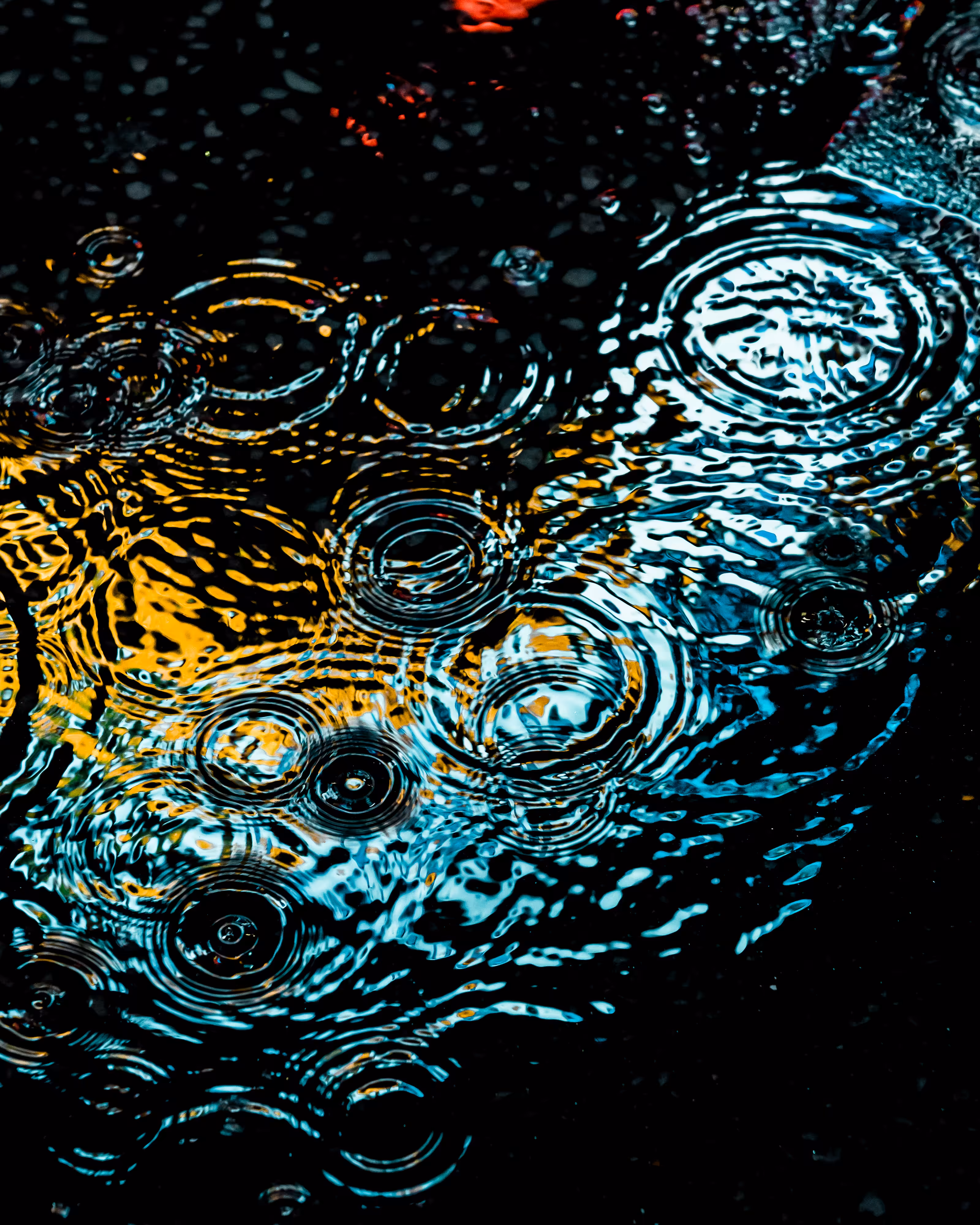 DRIP DROP: DRIP #546