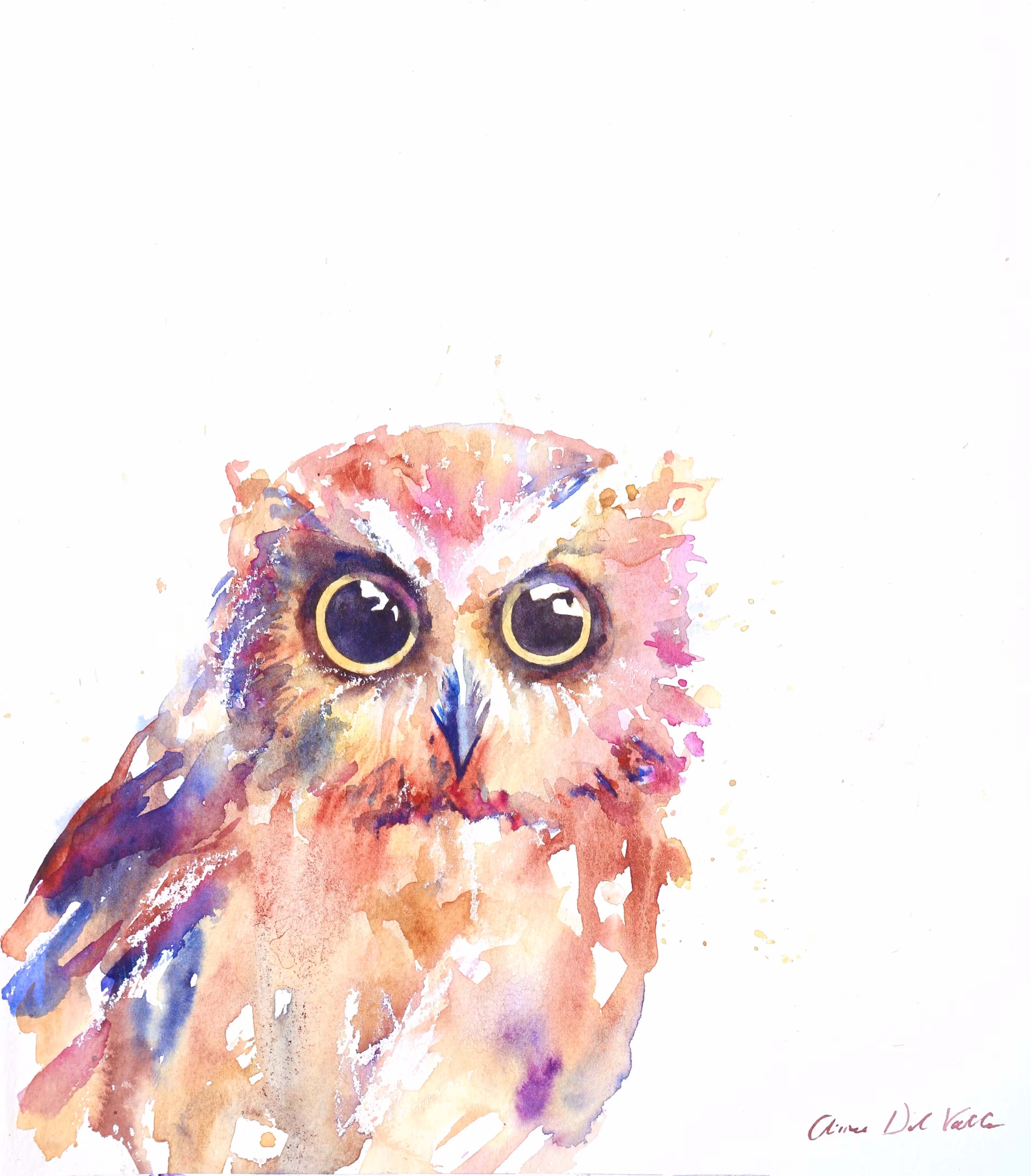 Eastern Screech Owl