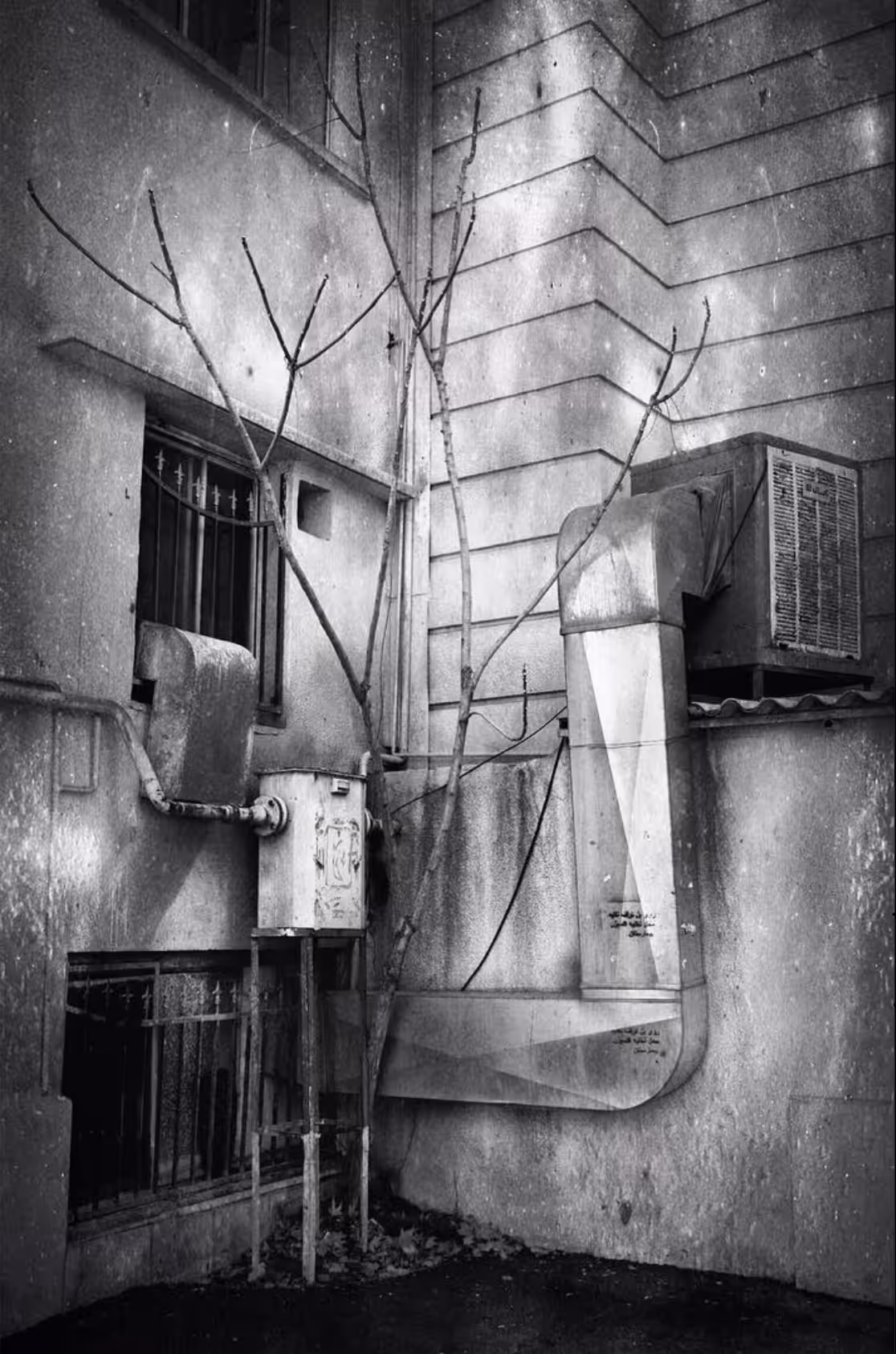 My Doors & Windows: doors&windows 22