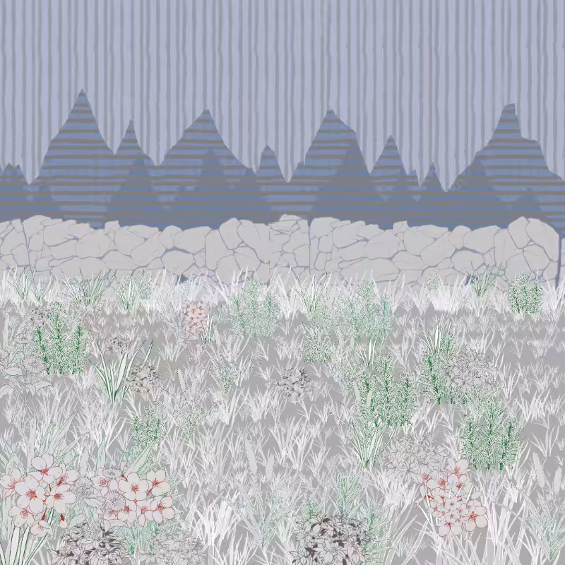 Mountain Meadows #18