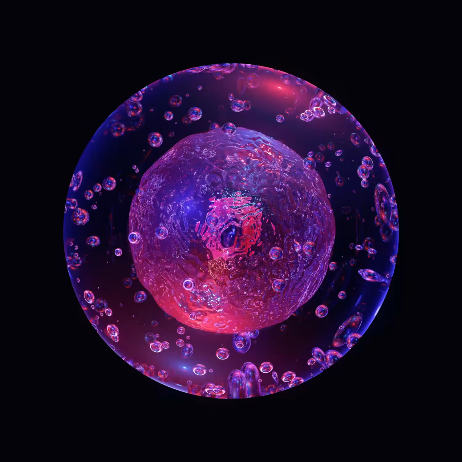 Mitosis