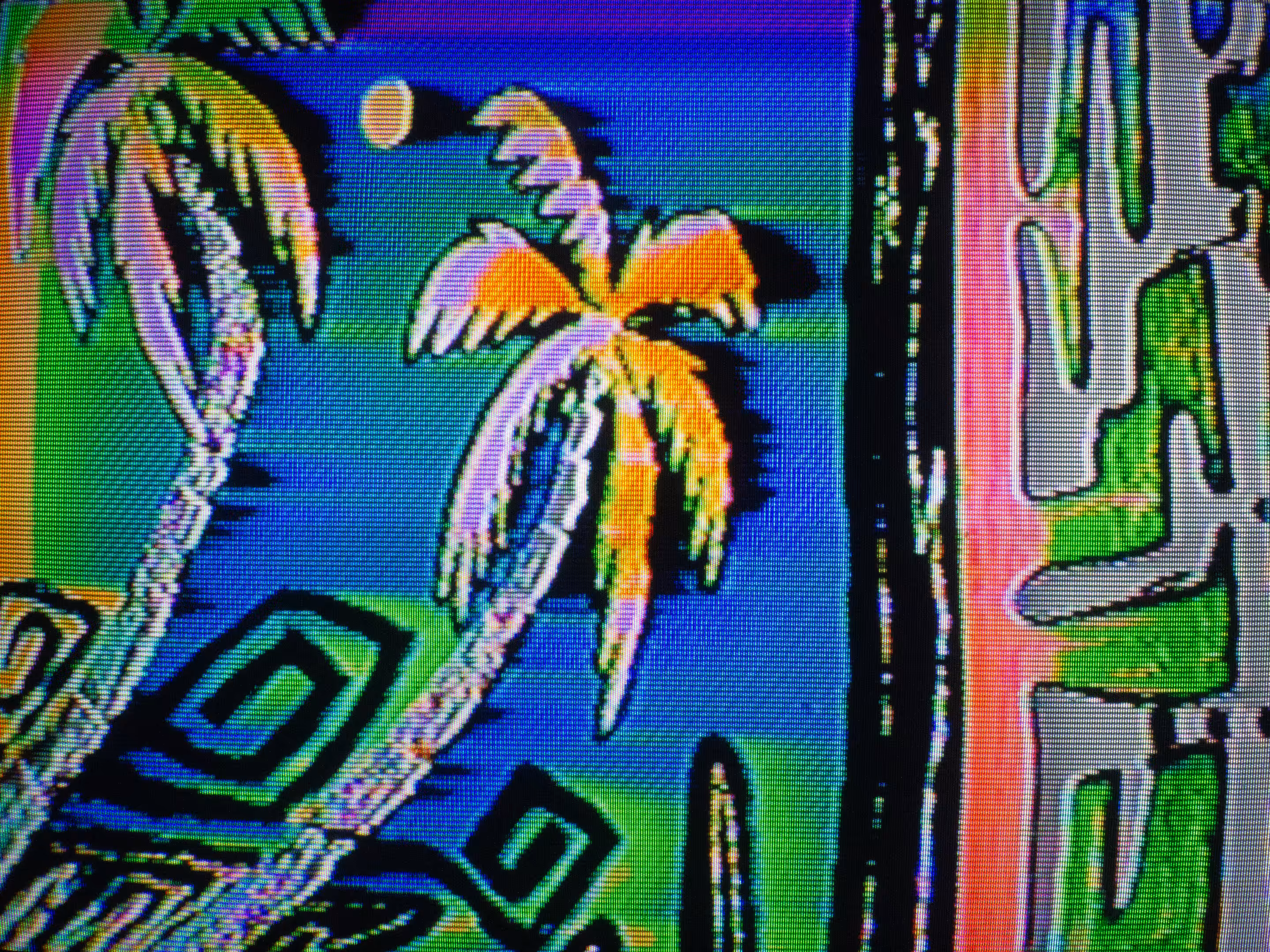 [/[palm.png]\]