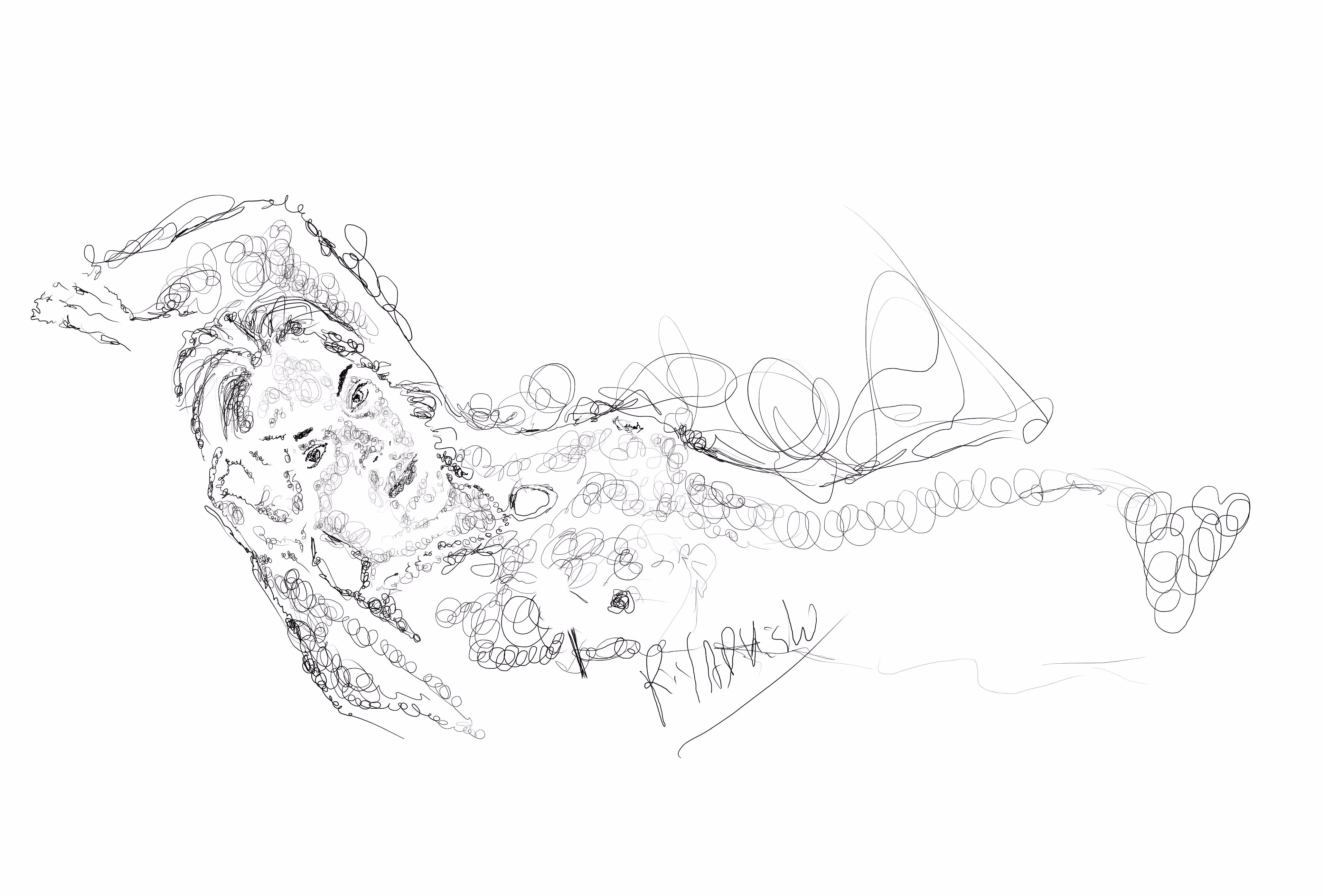 Rose from titanic nude scene