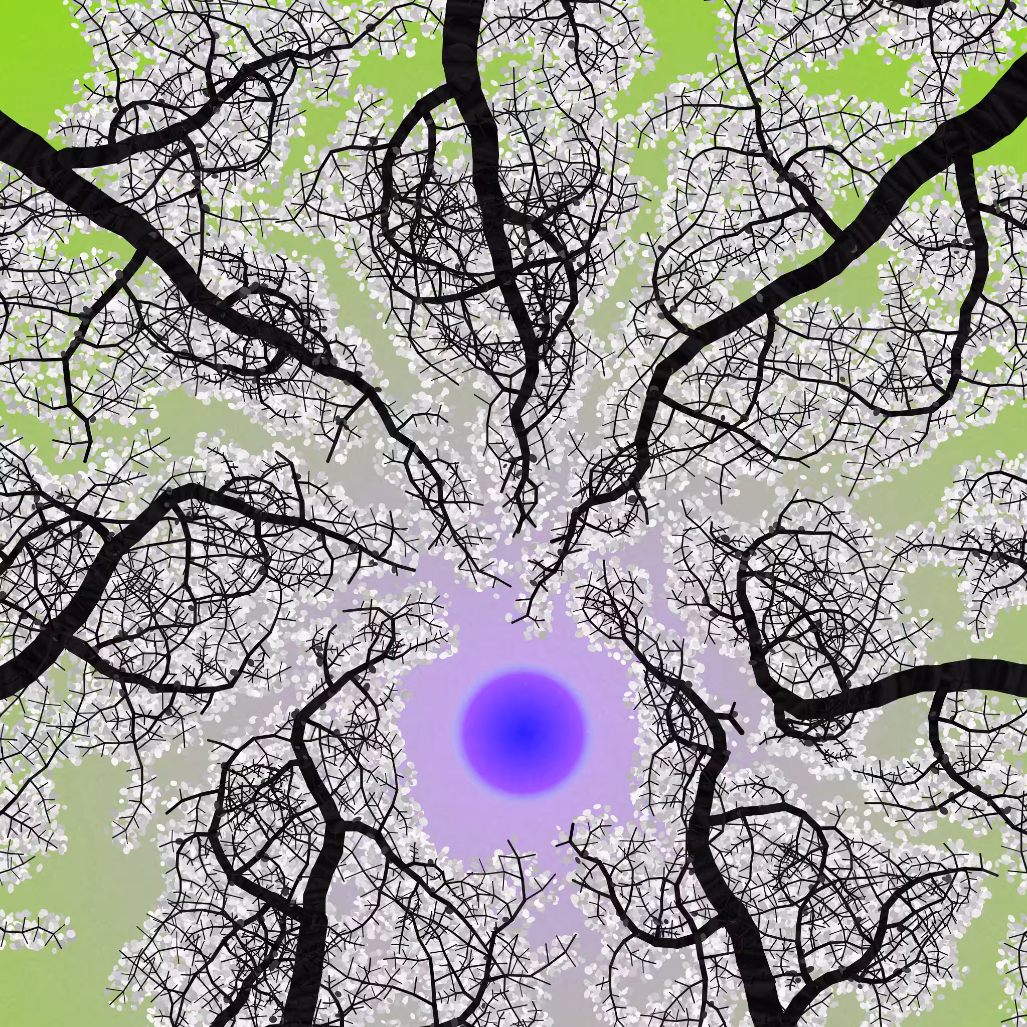 Tree Skyness #129