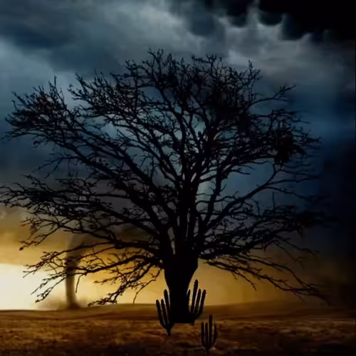 Tree #2 (Series 2)