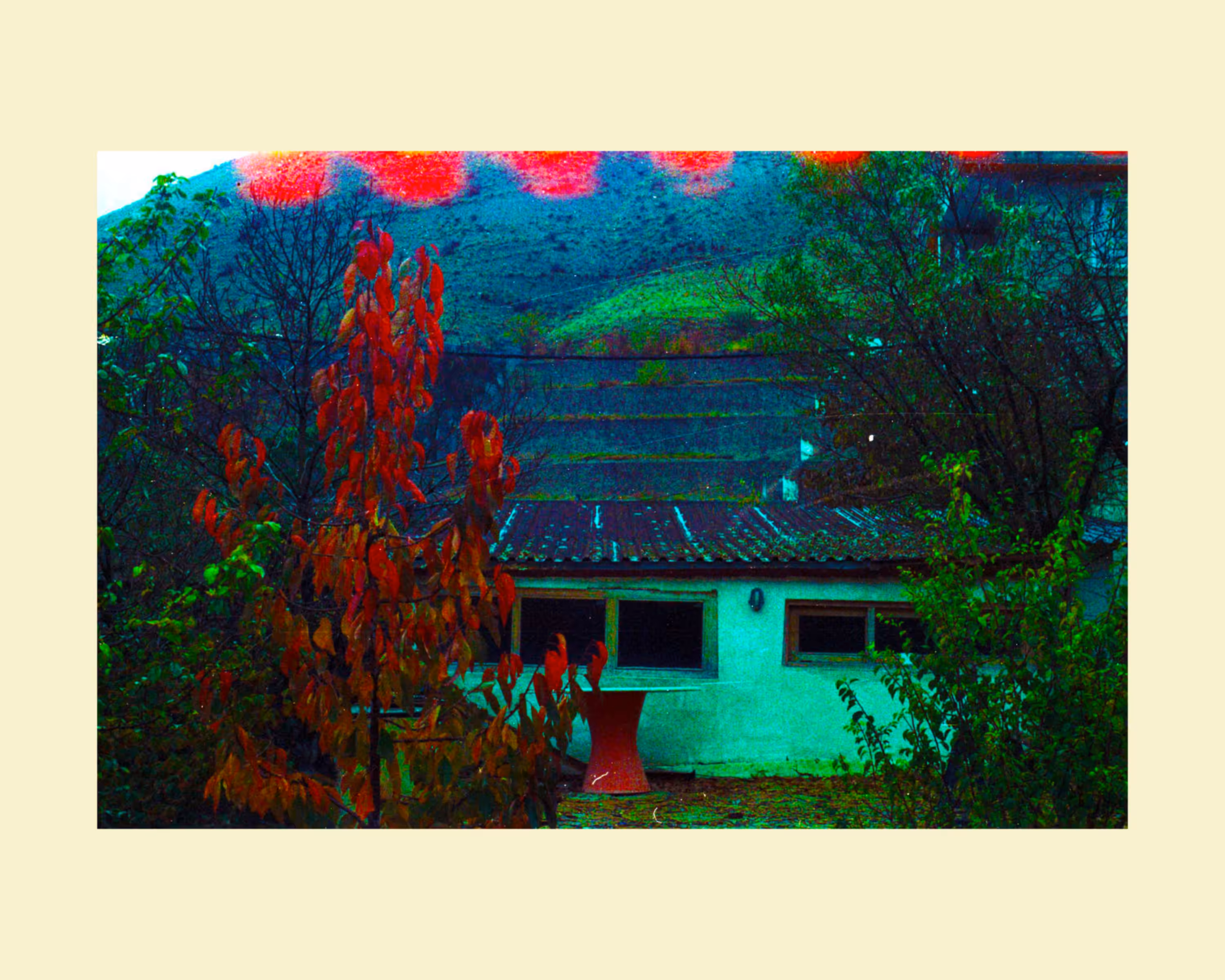 Trippy House