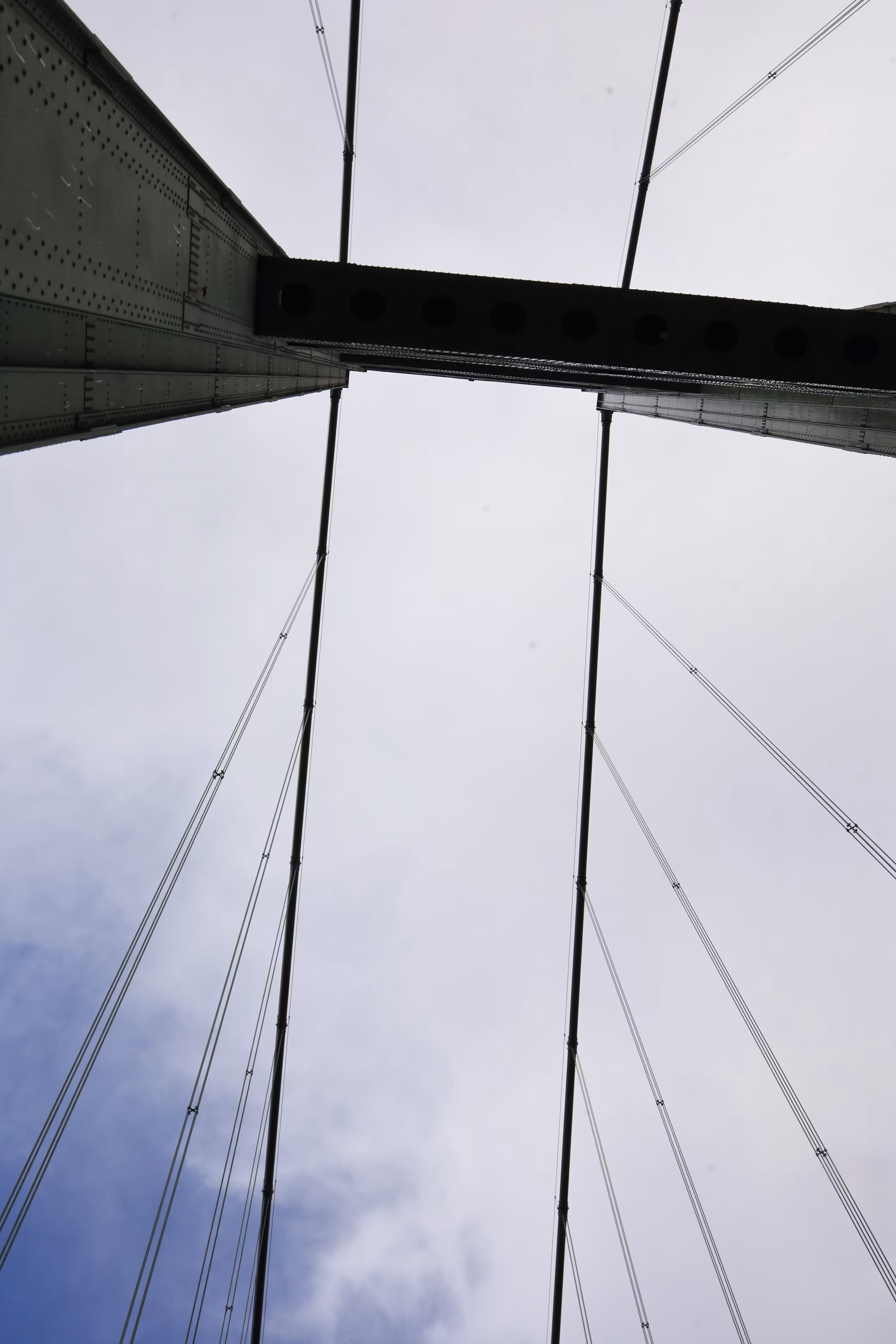 Looking Up