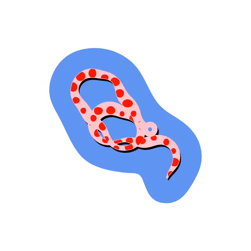SNAKES! #1